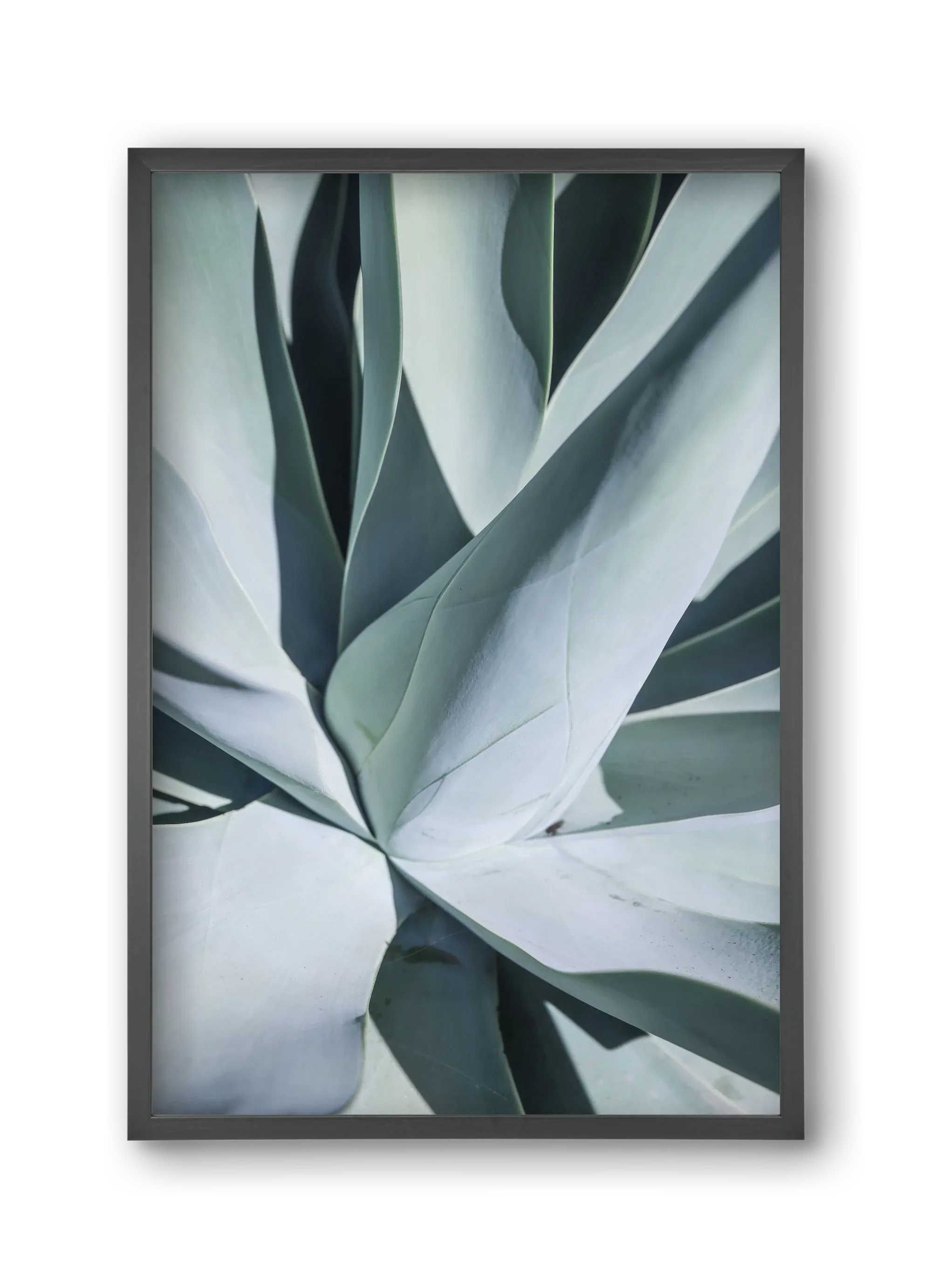 Aqua Cactus - artbridge