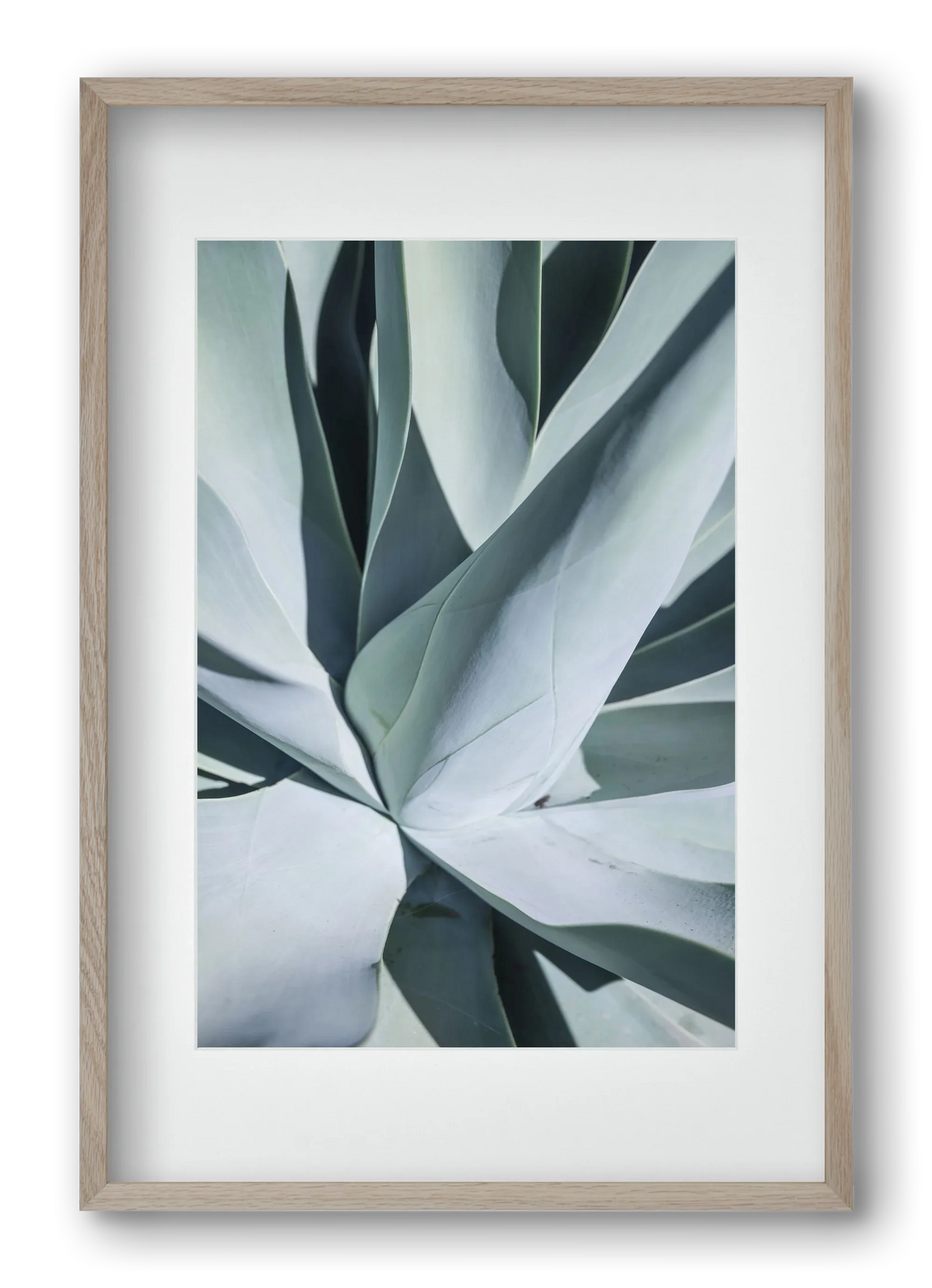 Aqua Cactus - artbridge