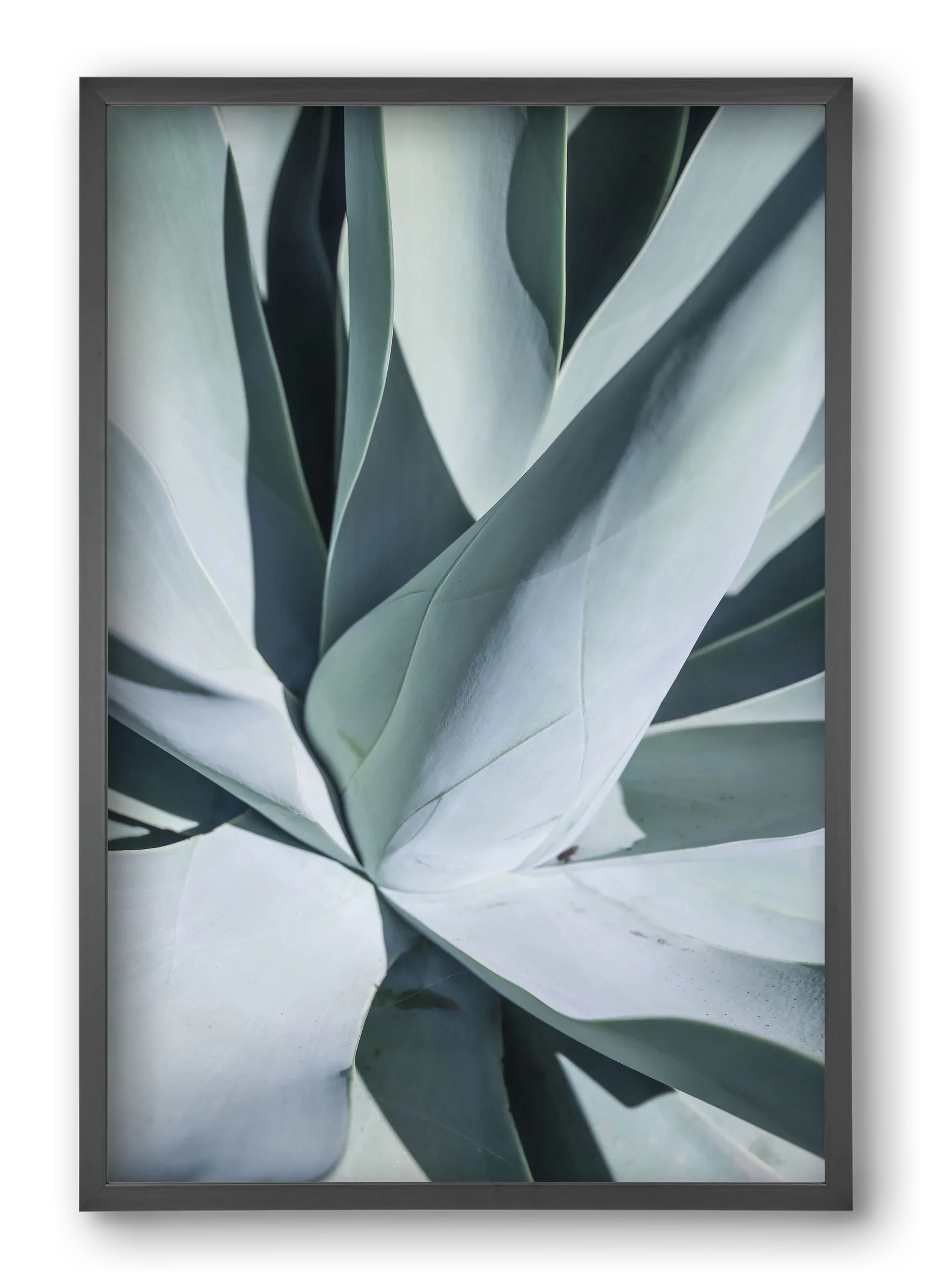 Aqua Cactus - artbridge