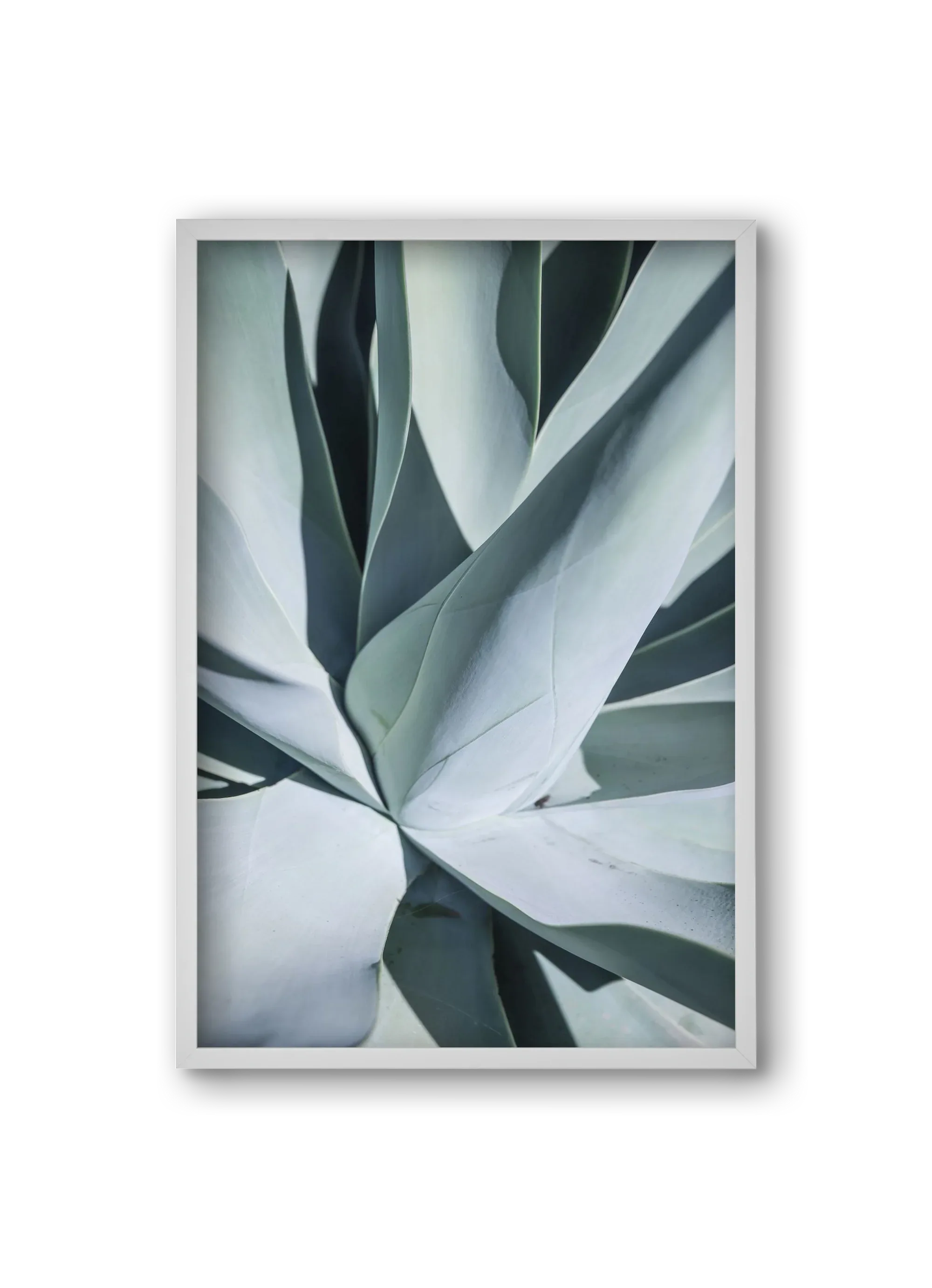 Aqua Cactus - artbridge