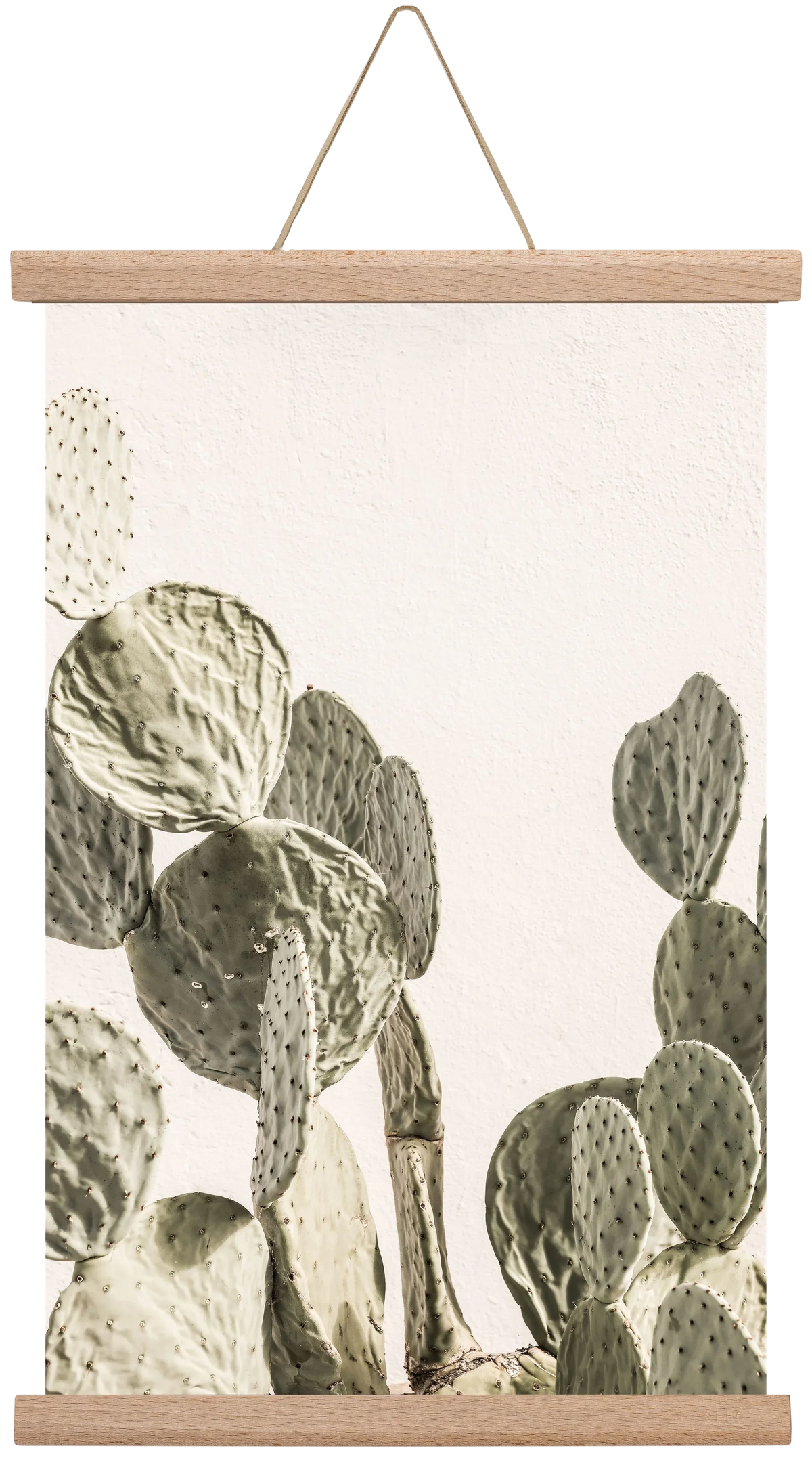 Mexi cactus - artbridge