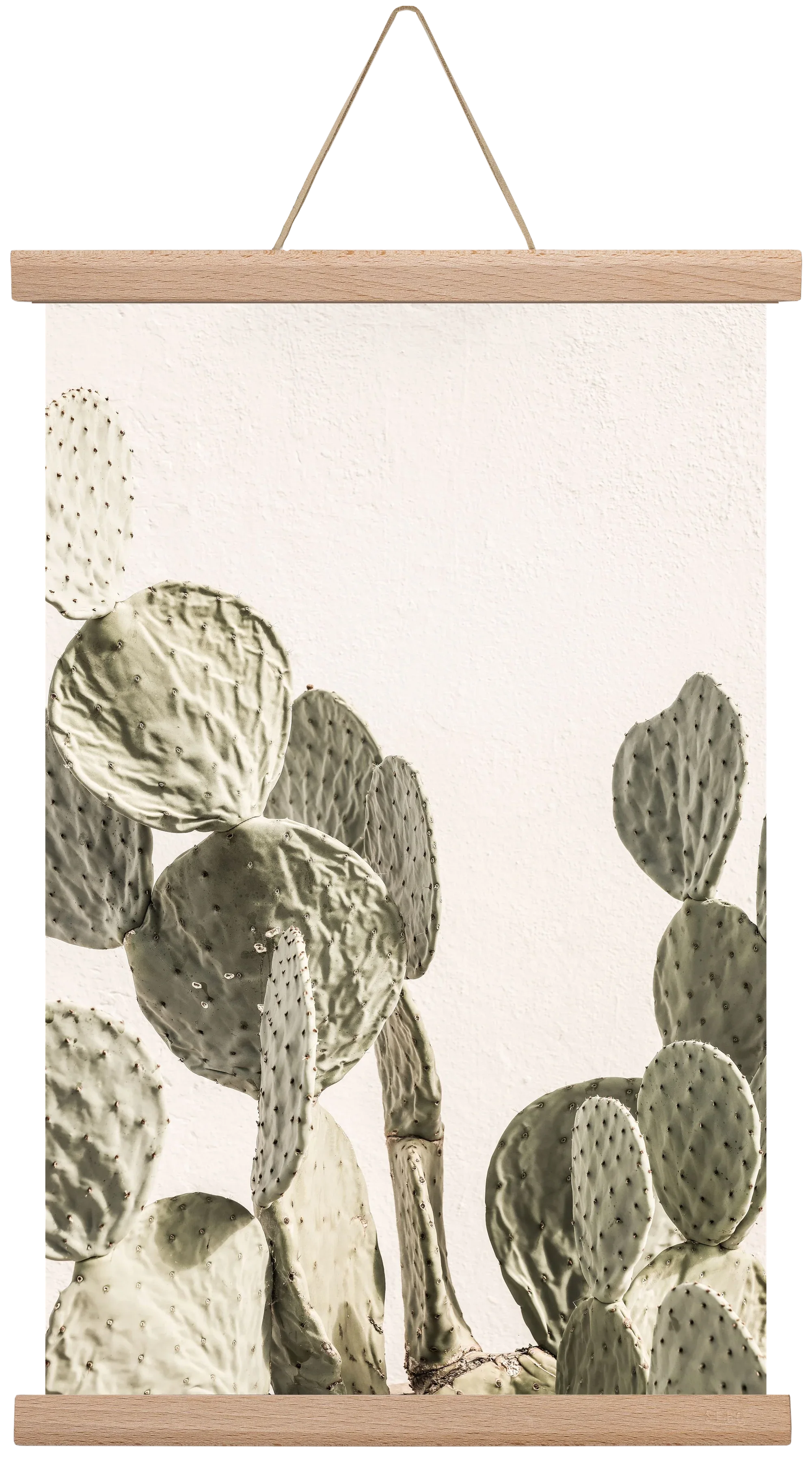 Mexi cactus - artbridge
