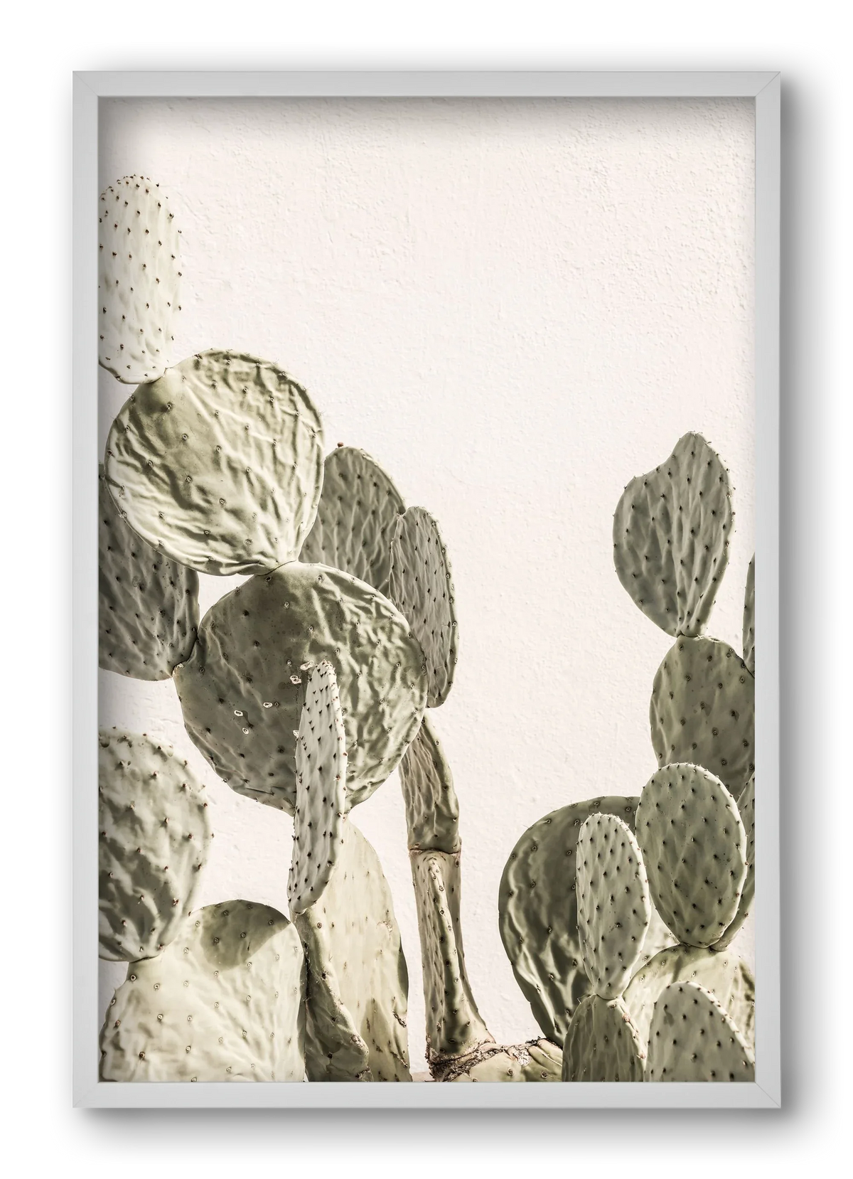 Mexi cactus - artbridge