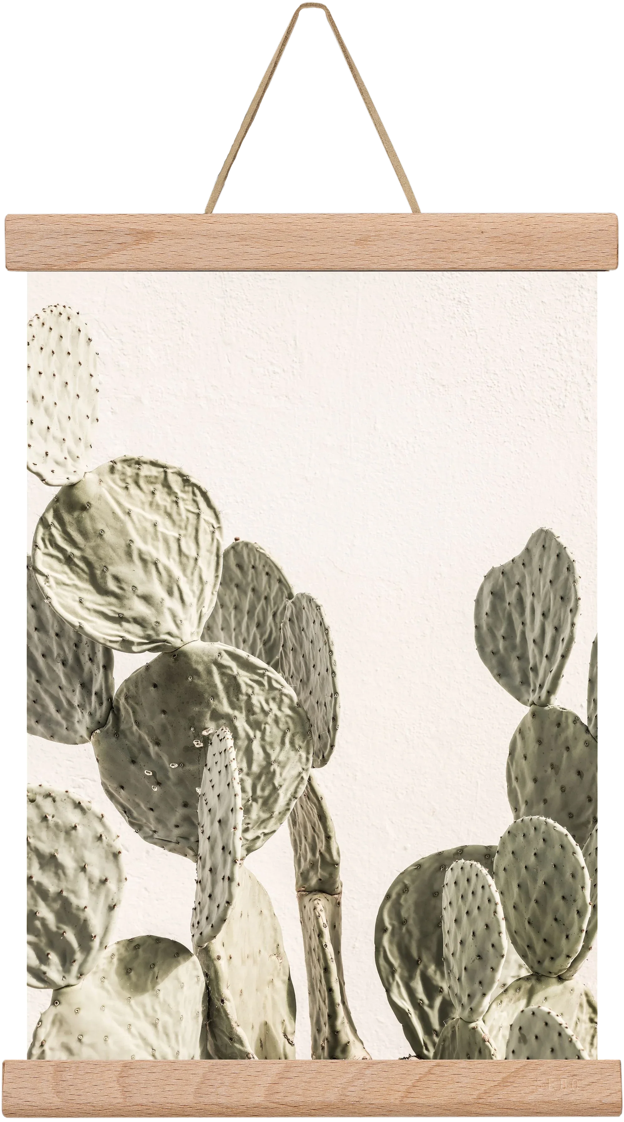 Mexi cactus - artbridge