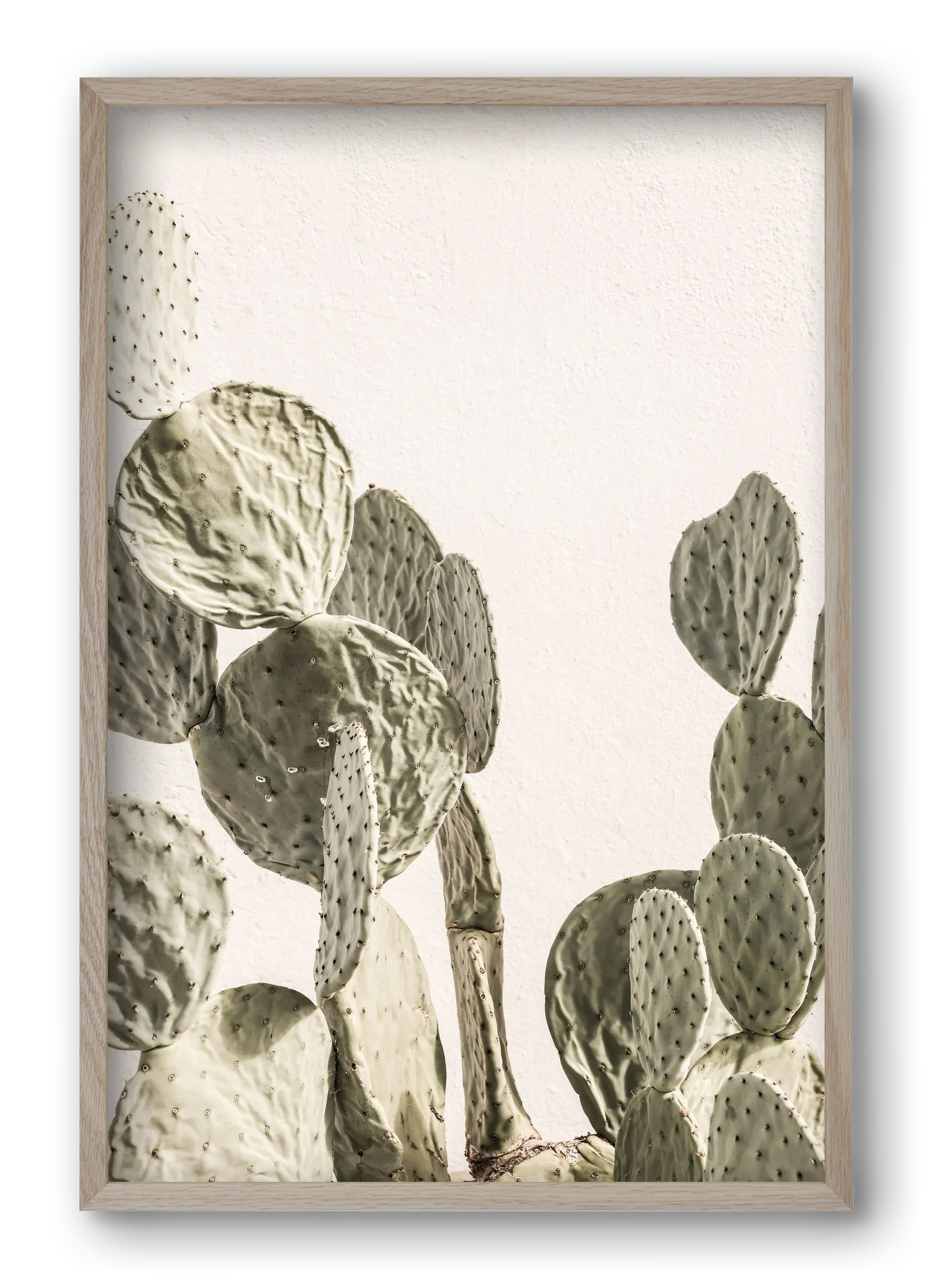 Mexi cactus - artbridge