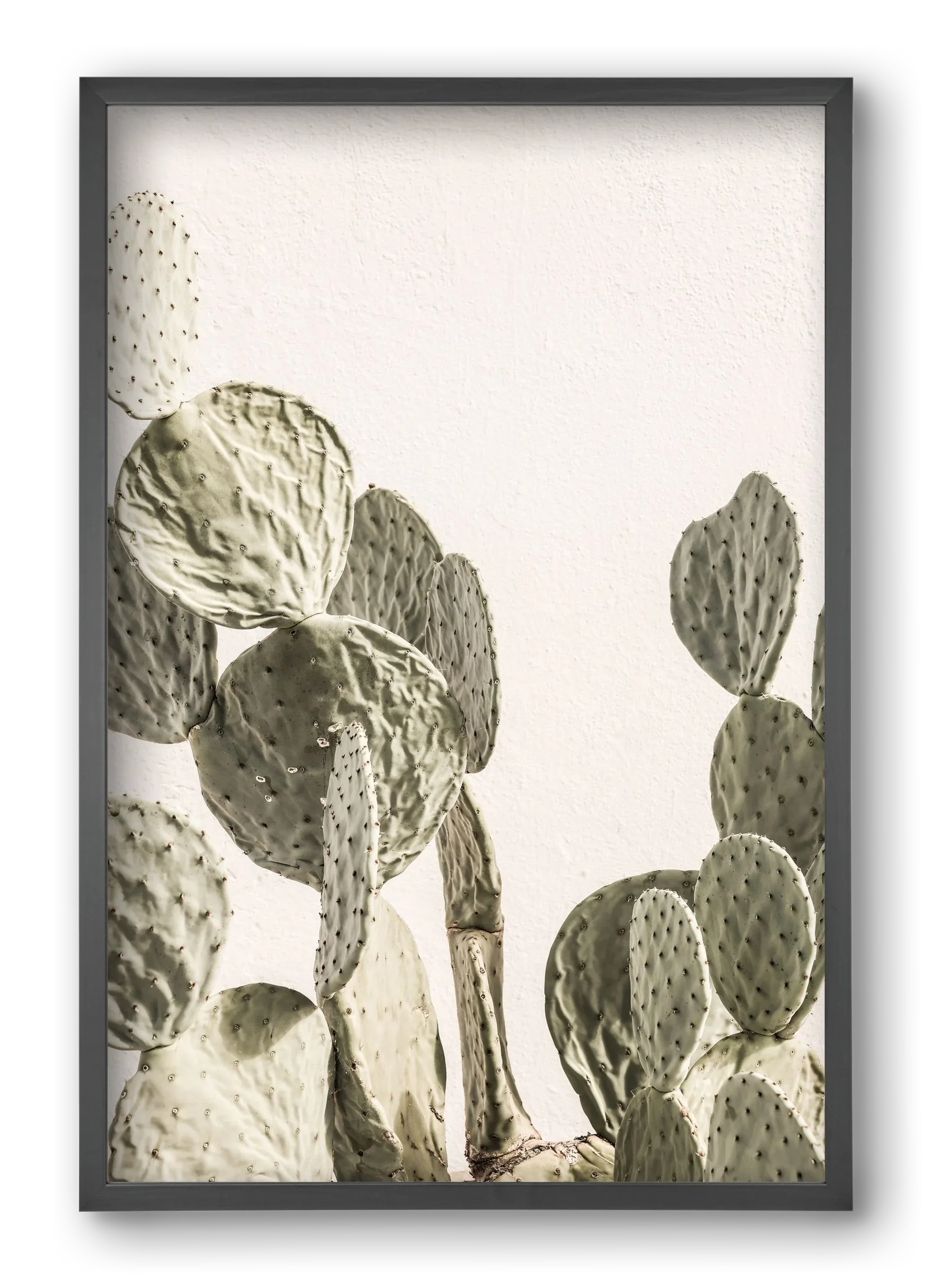 Mexi cactus - artbridge