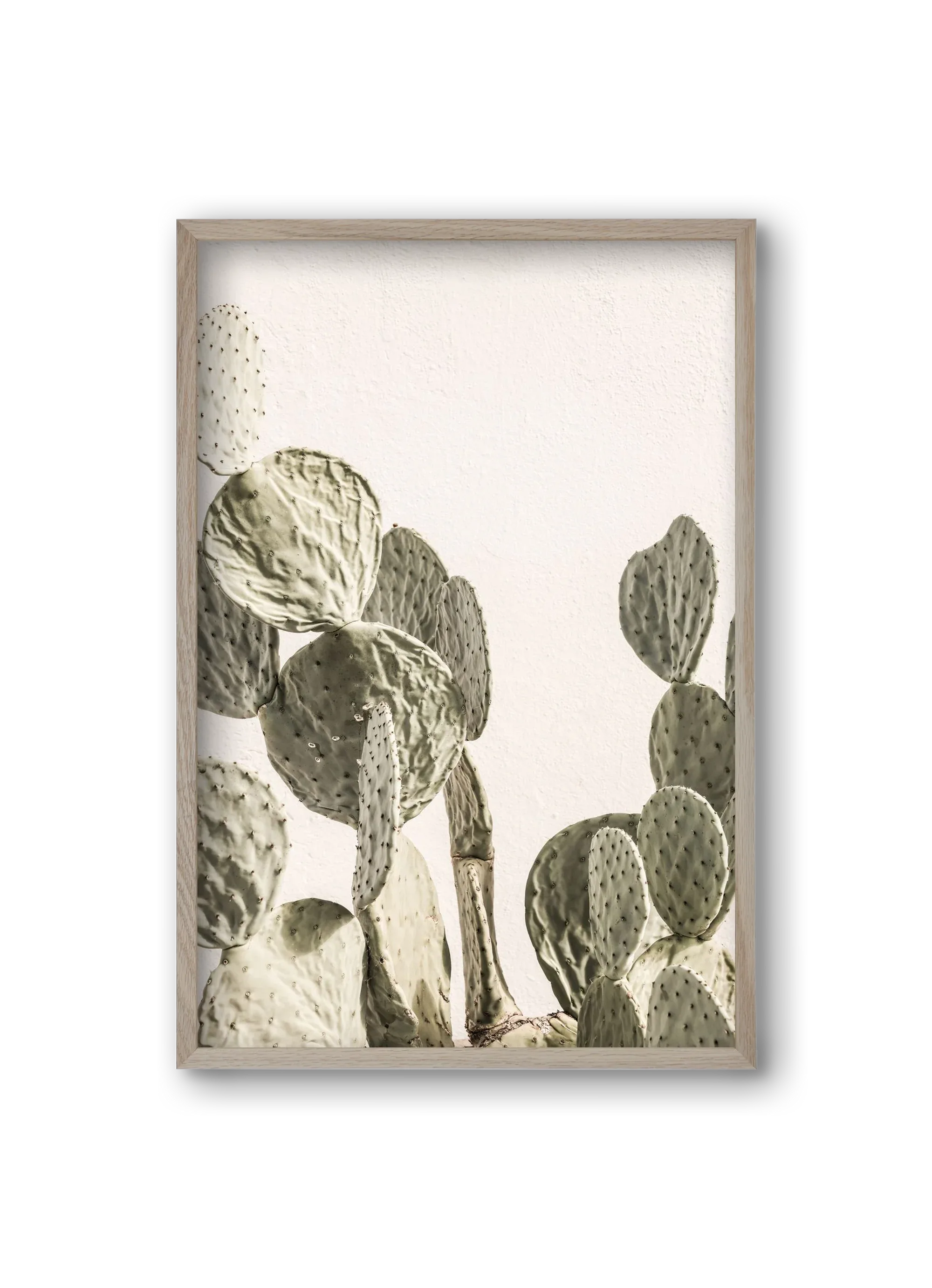 Mexi cactus - artbridge