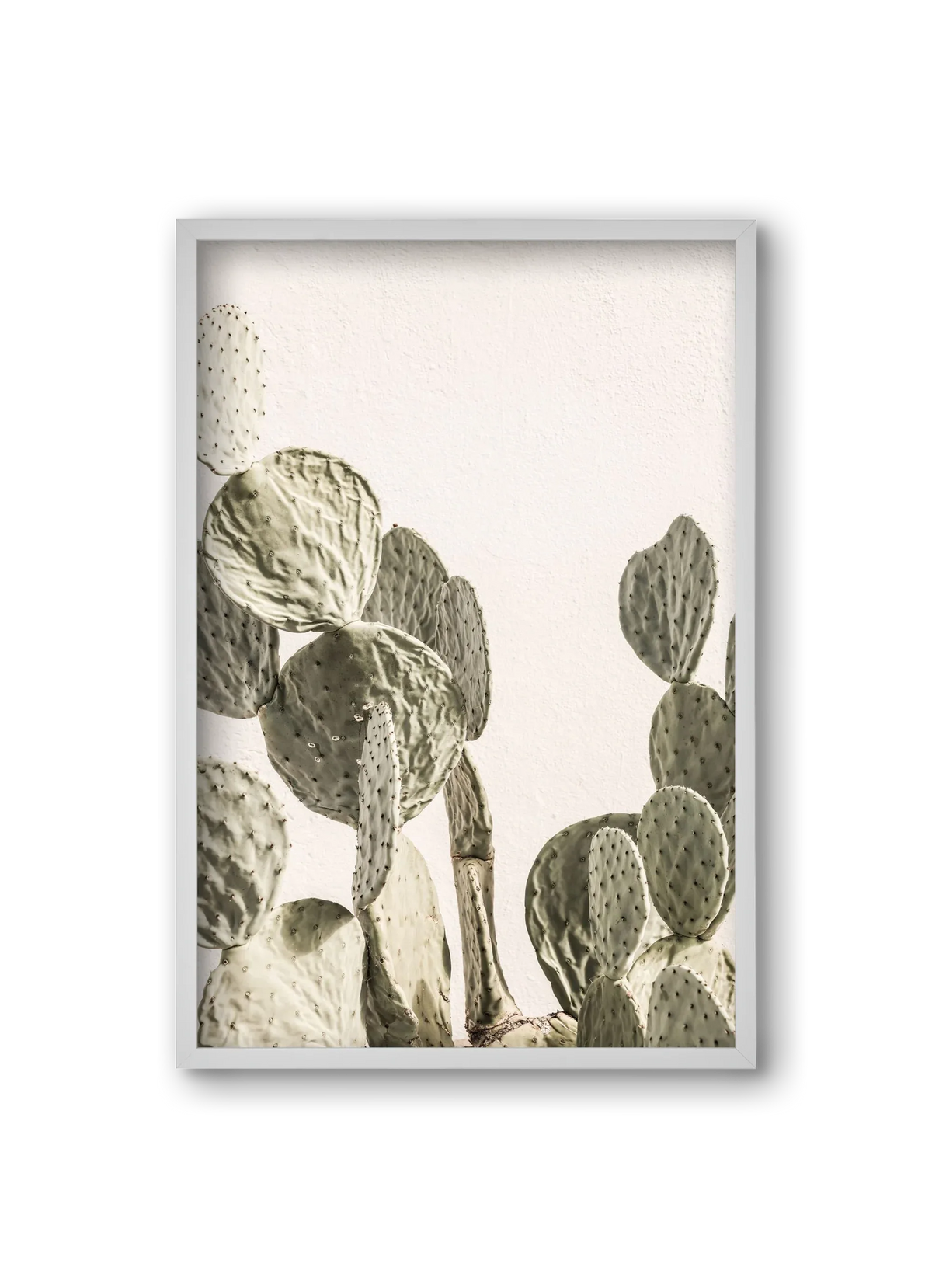Mexi cactus - artbridge