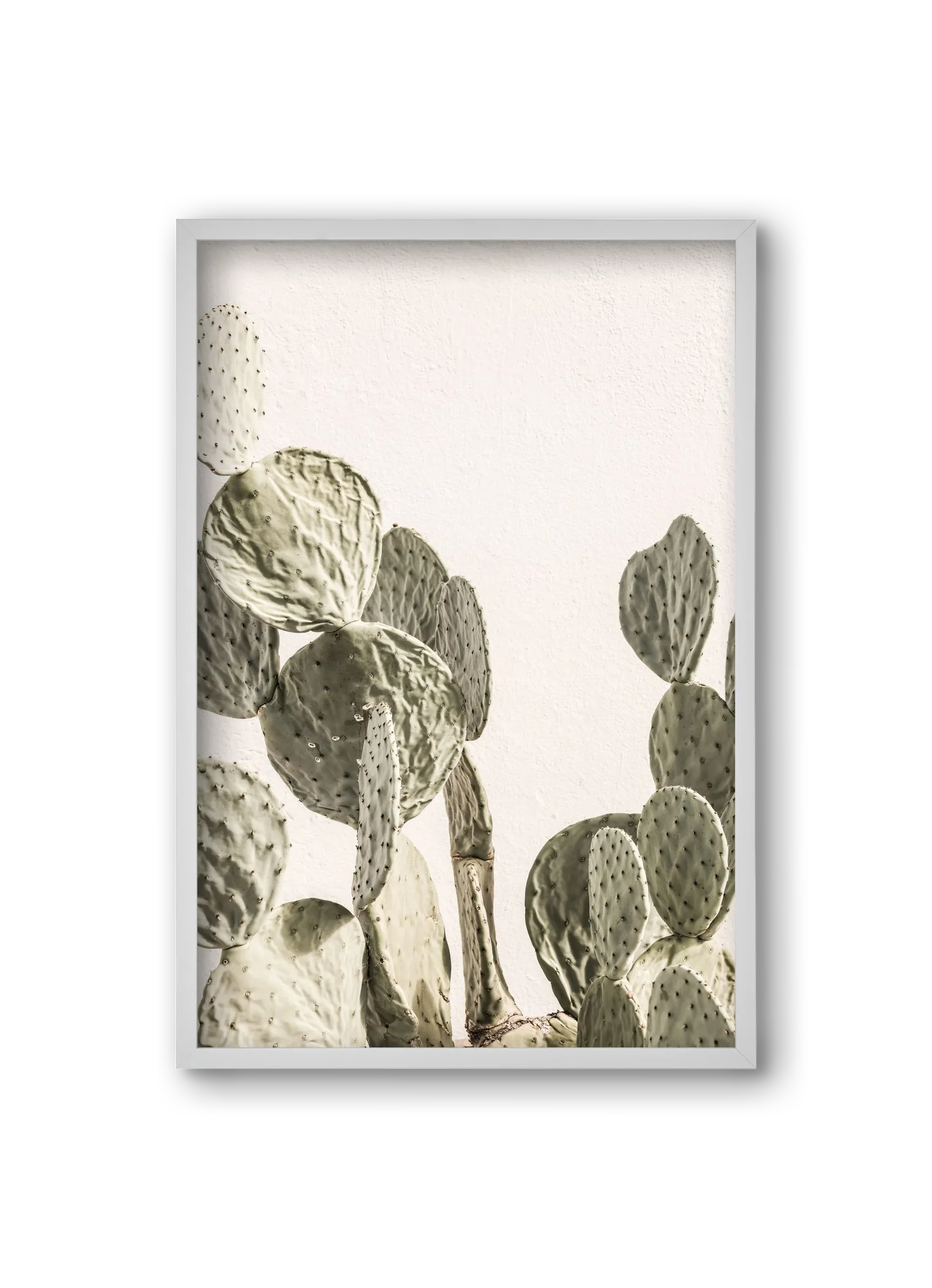Mexi cactus - artbridge