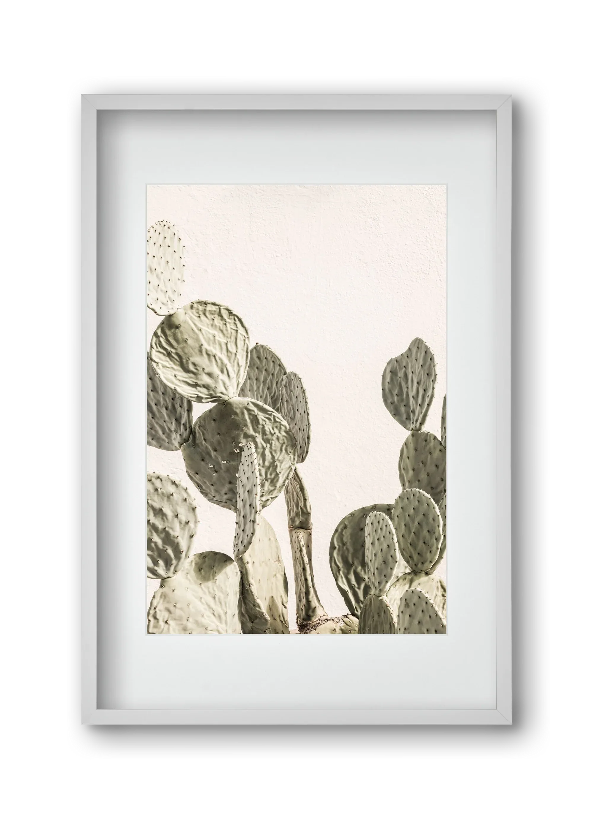 Mexi cactus - artbridge
