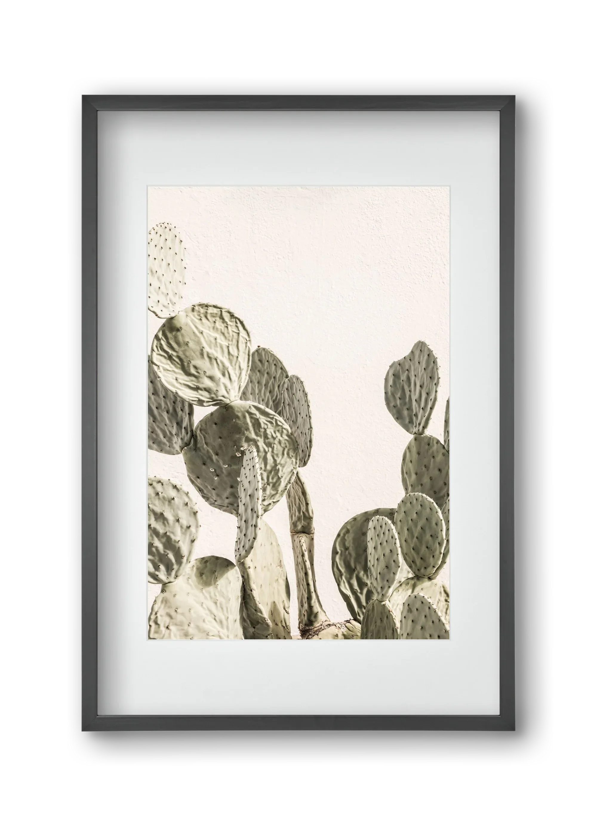 Mexi cactus - artbridge