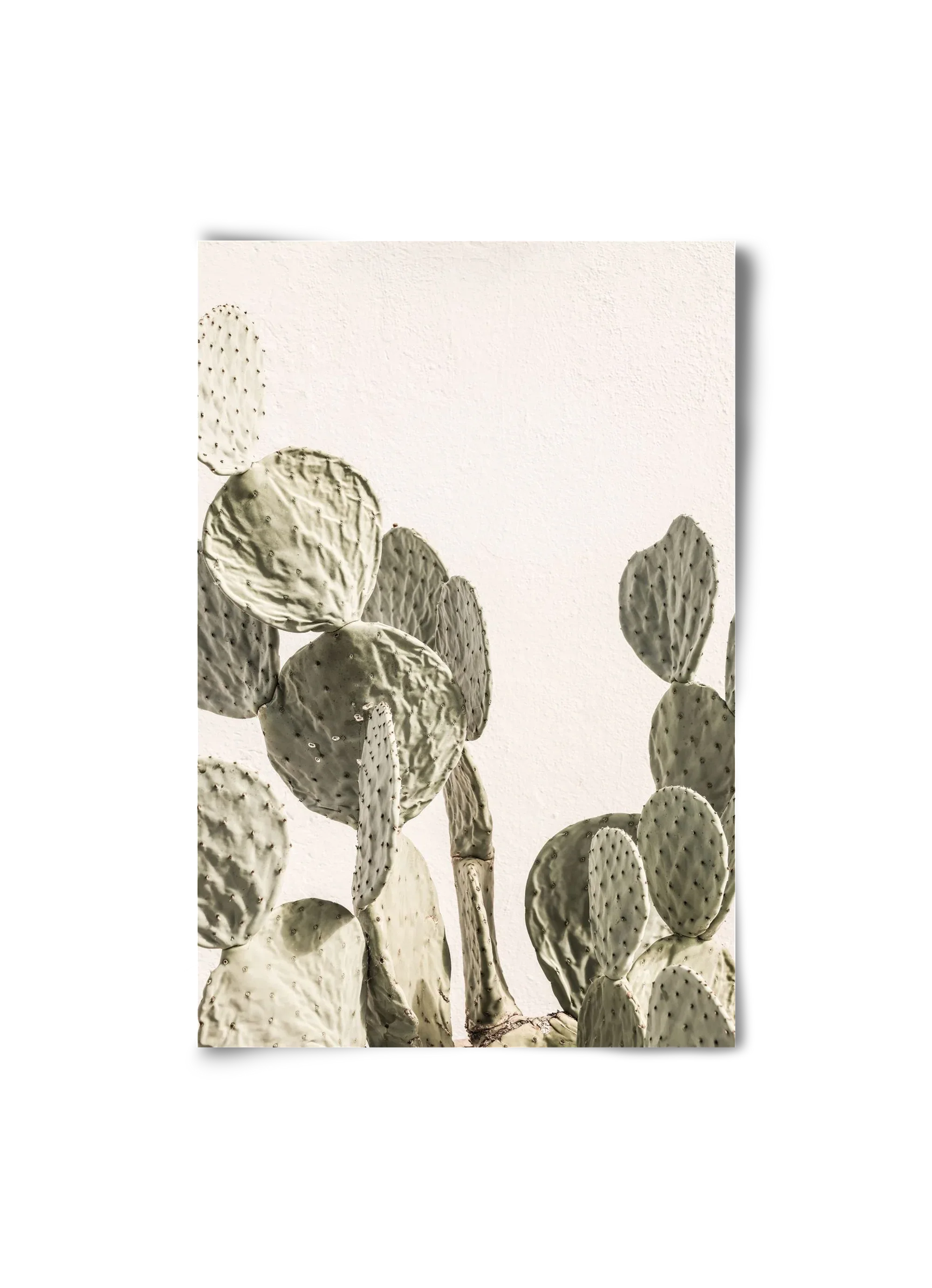 Mexi cactus - artbridge