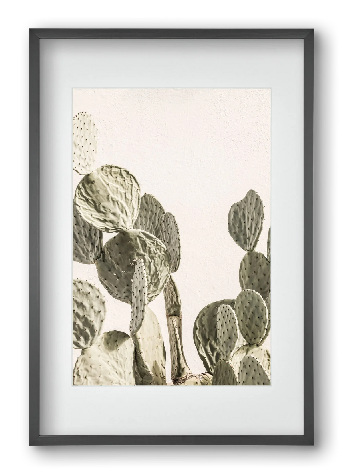Mexi cactus - artbridge