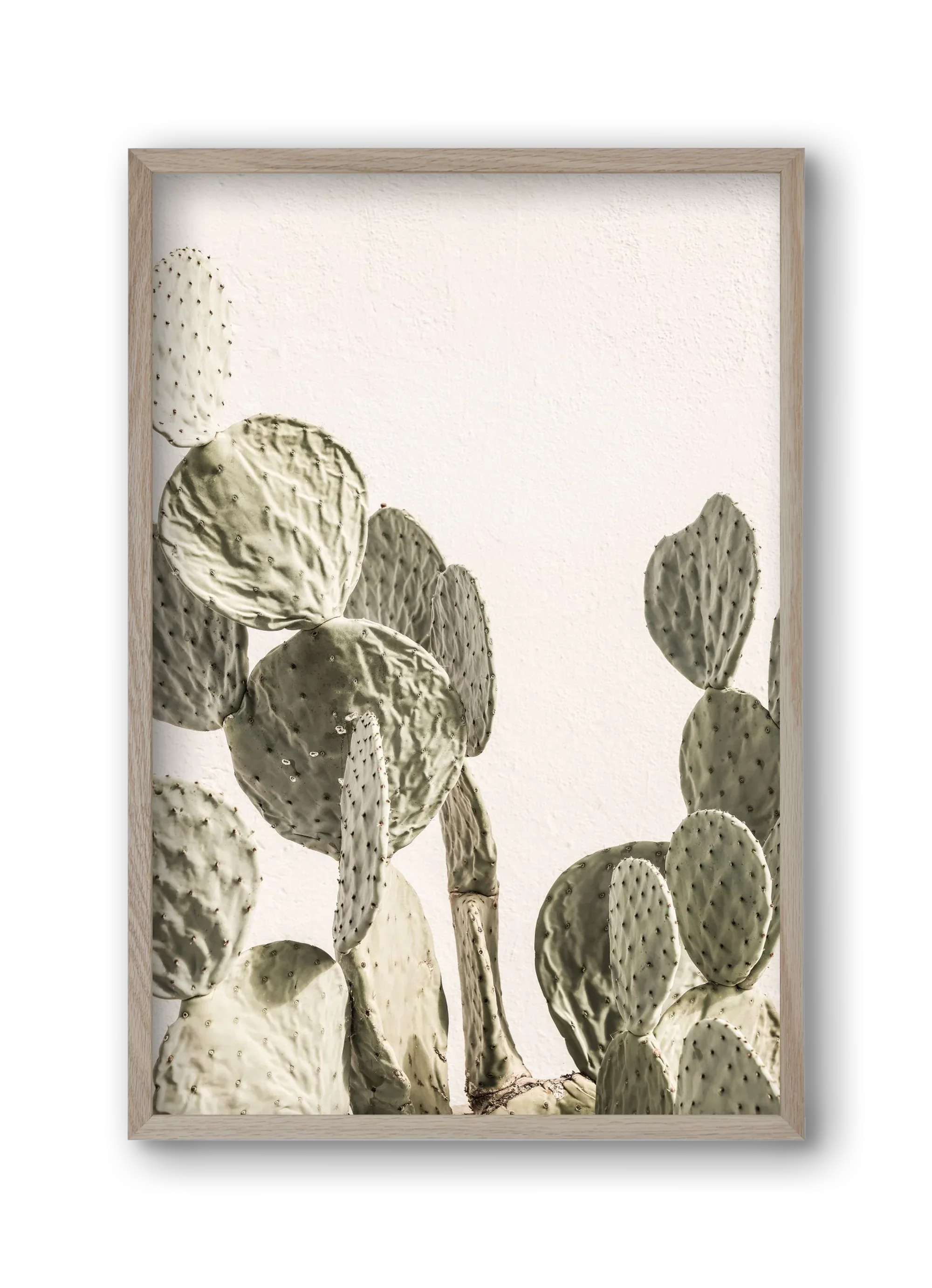 Mexi cactus - artbridge