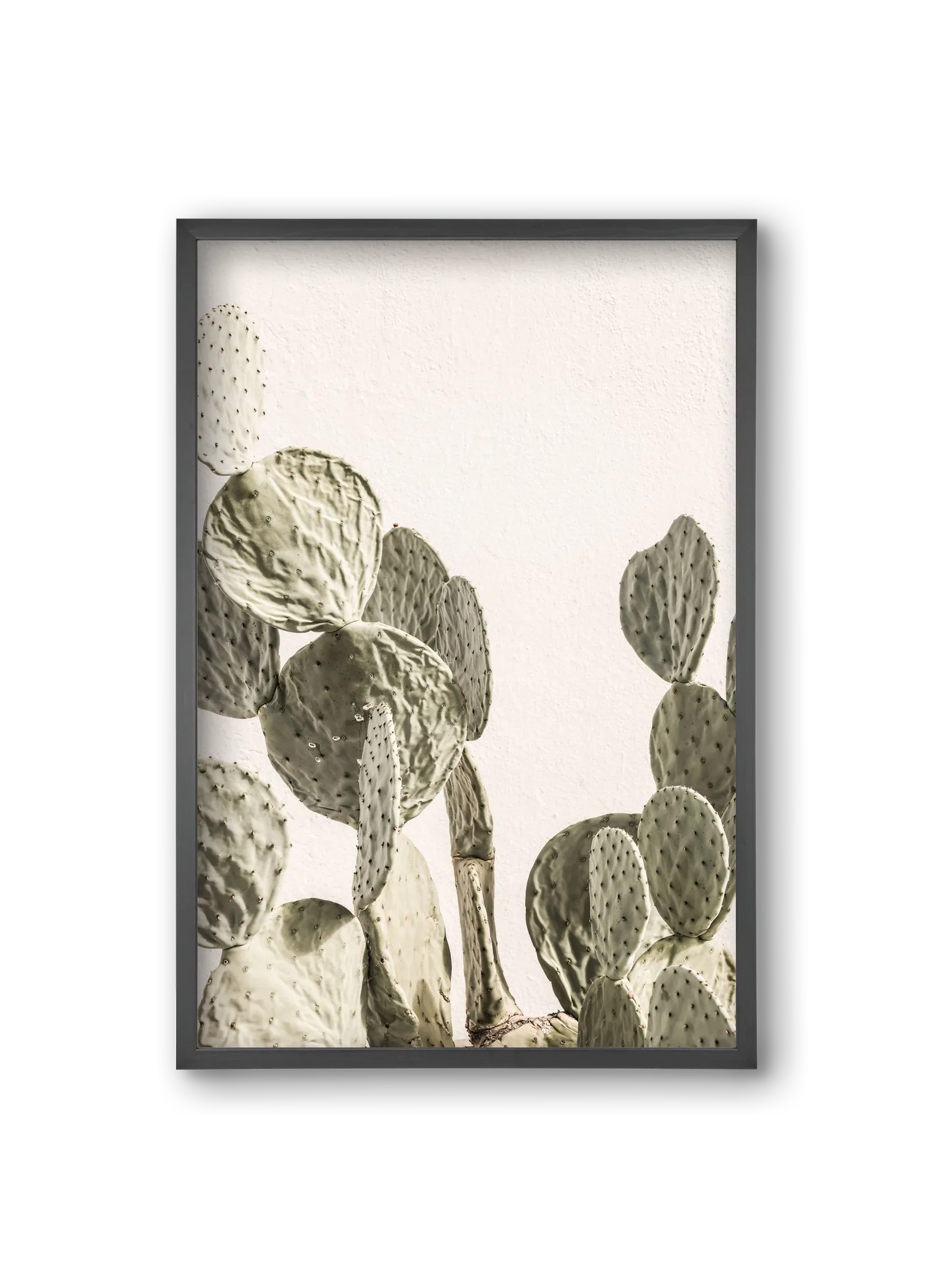Mexi cactus - artbridge