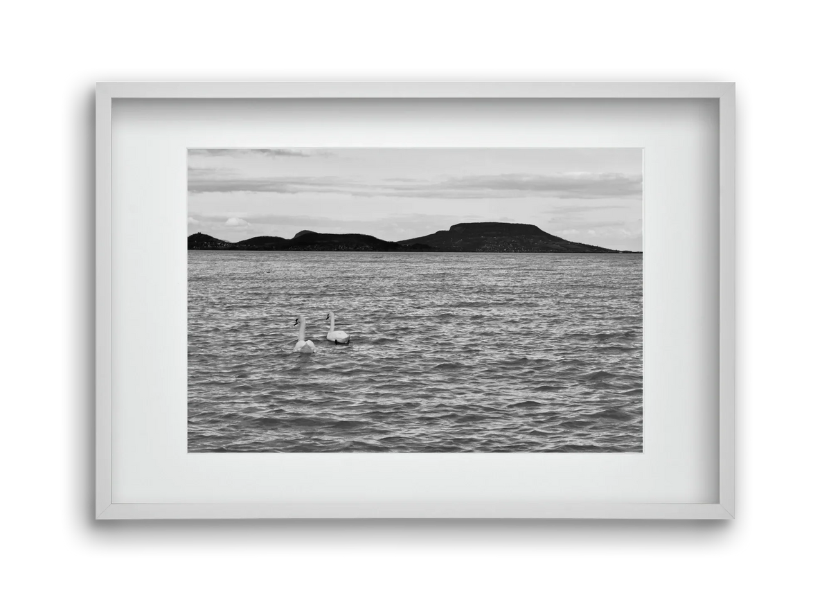 in pairs - artbridge