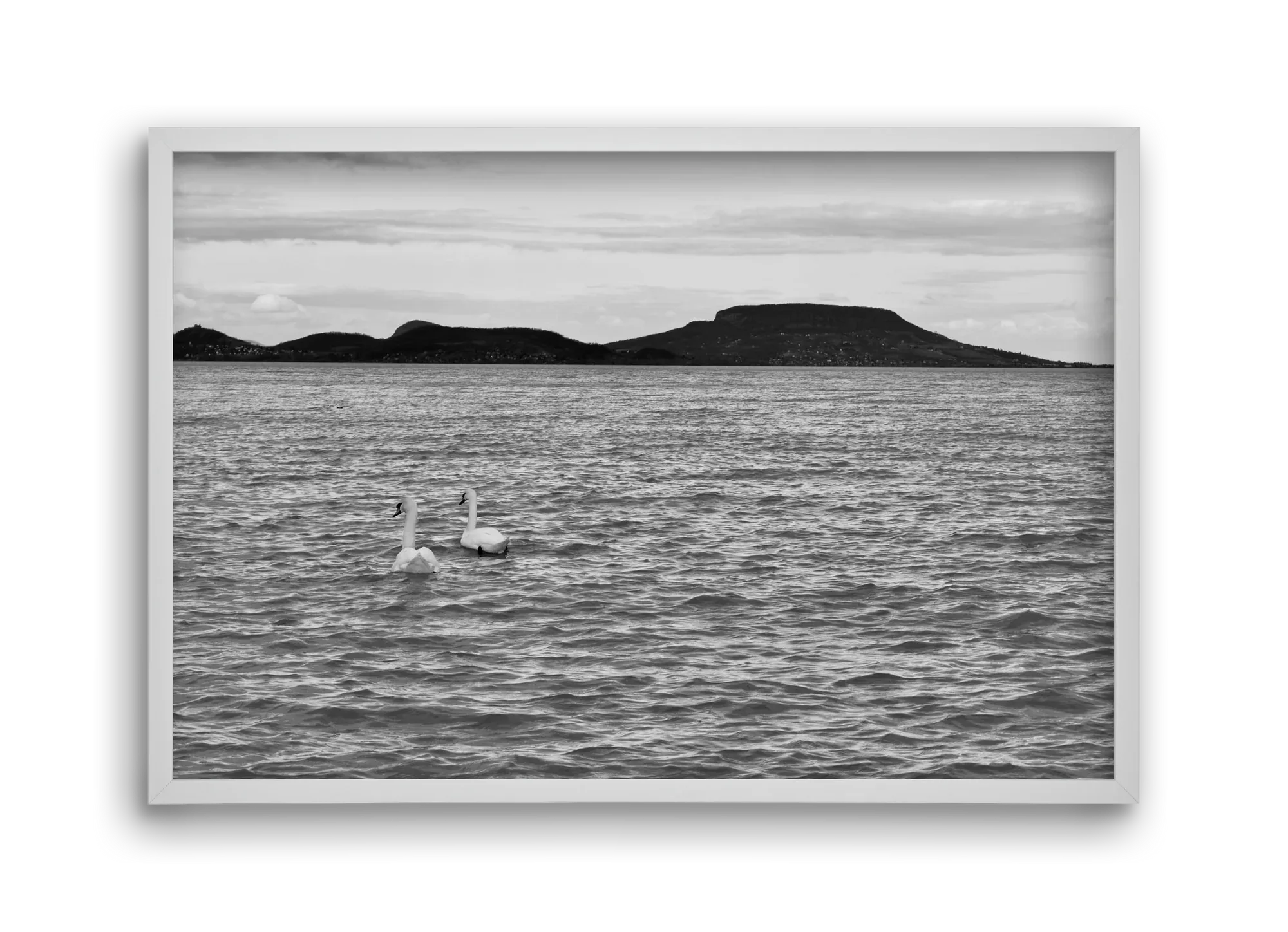 in pairs - artbridge