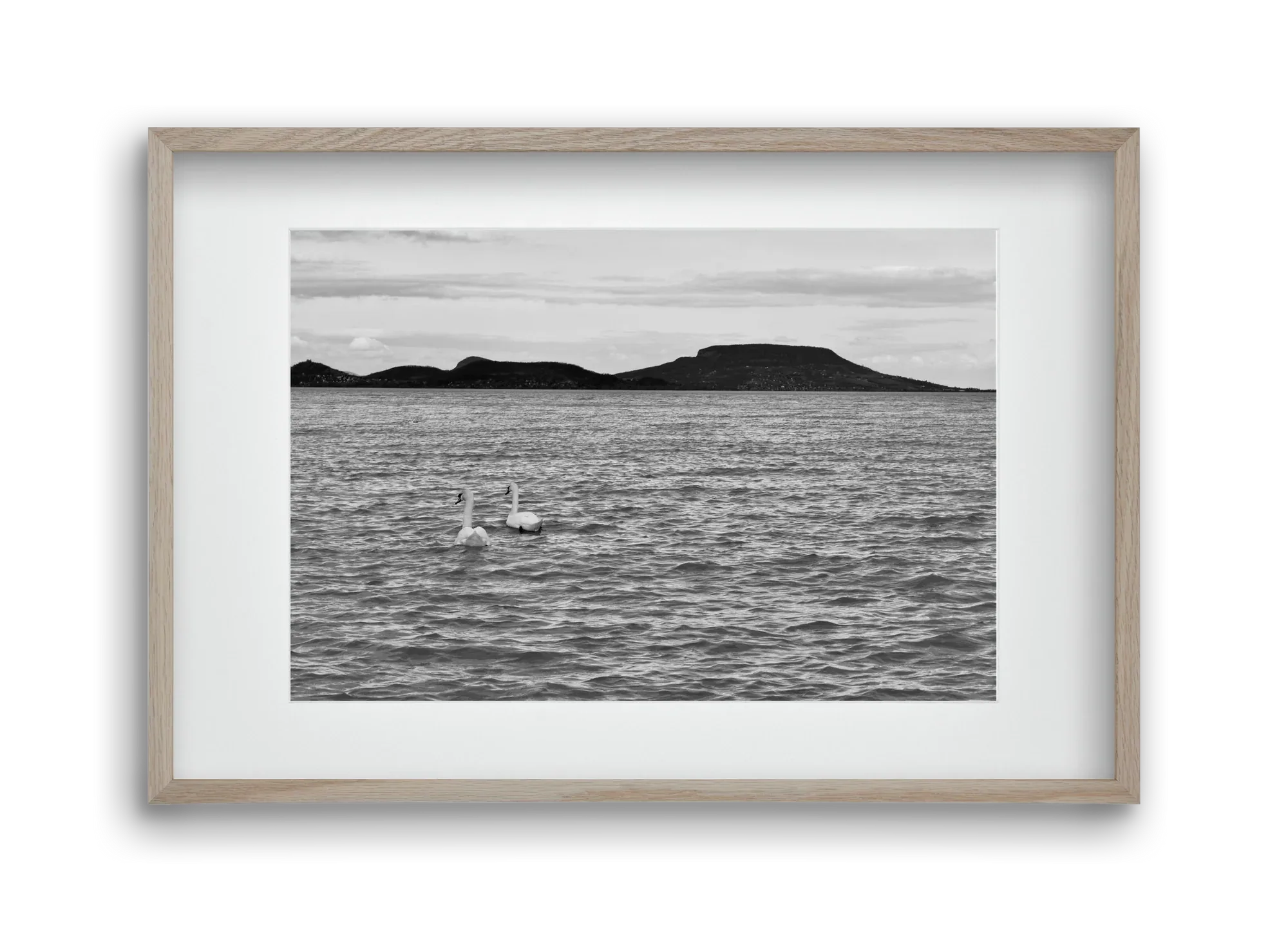 in pairs - artbridge