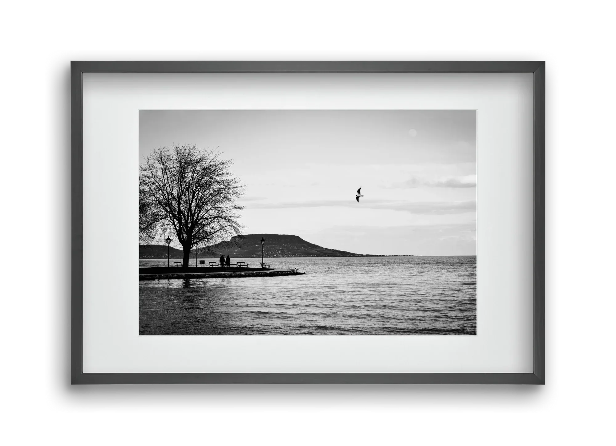 Full moon - artbridge