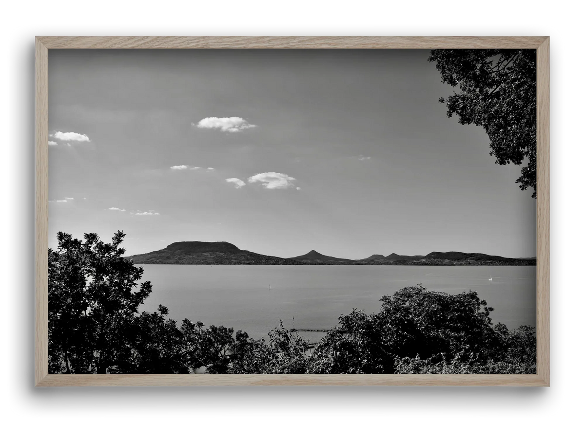 Balaton Summer - artbridge