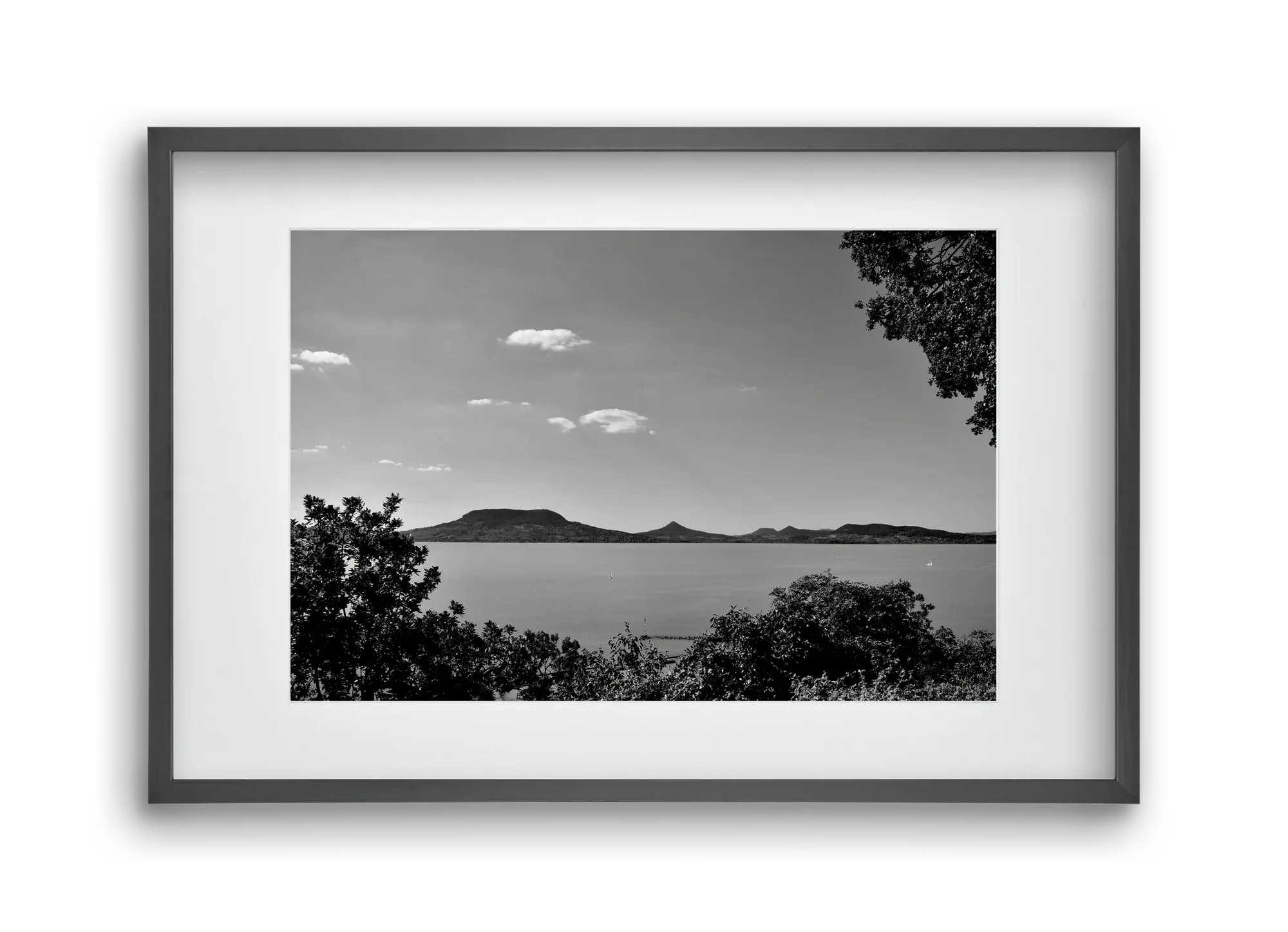 Balaton Summer - artbridge