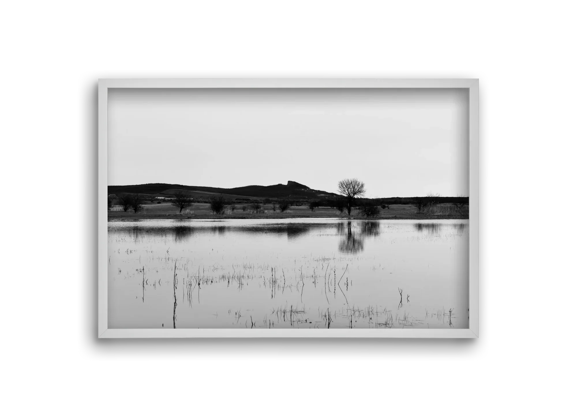 sharp - artbridge
