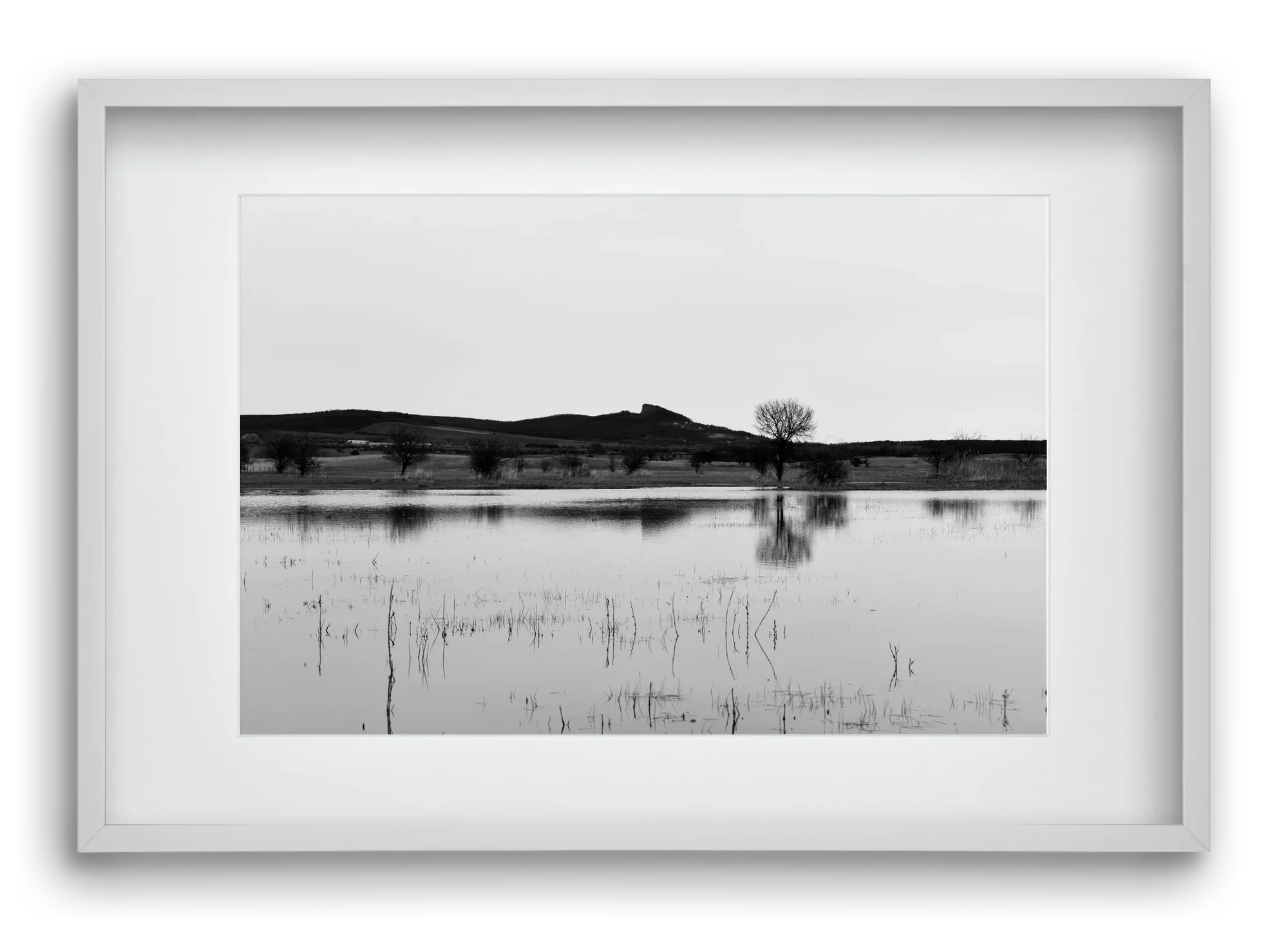 sharp - artbridge