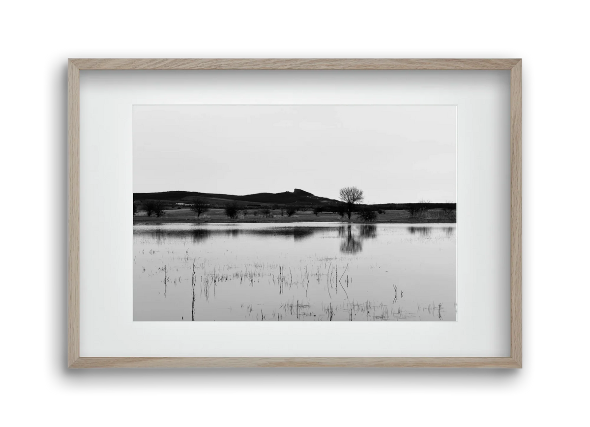 sharp - artbridge