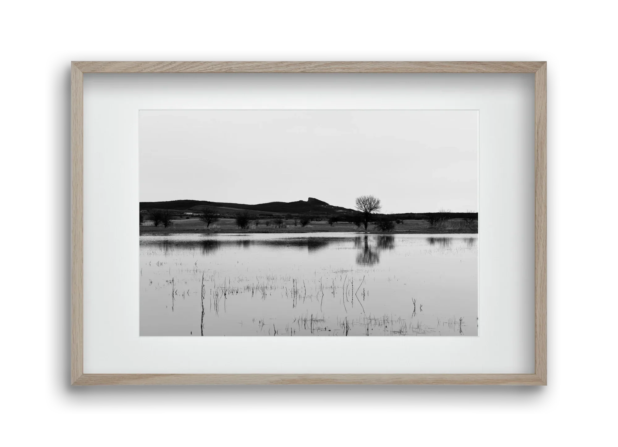 sharp - artbridge