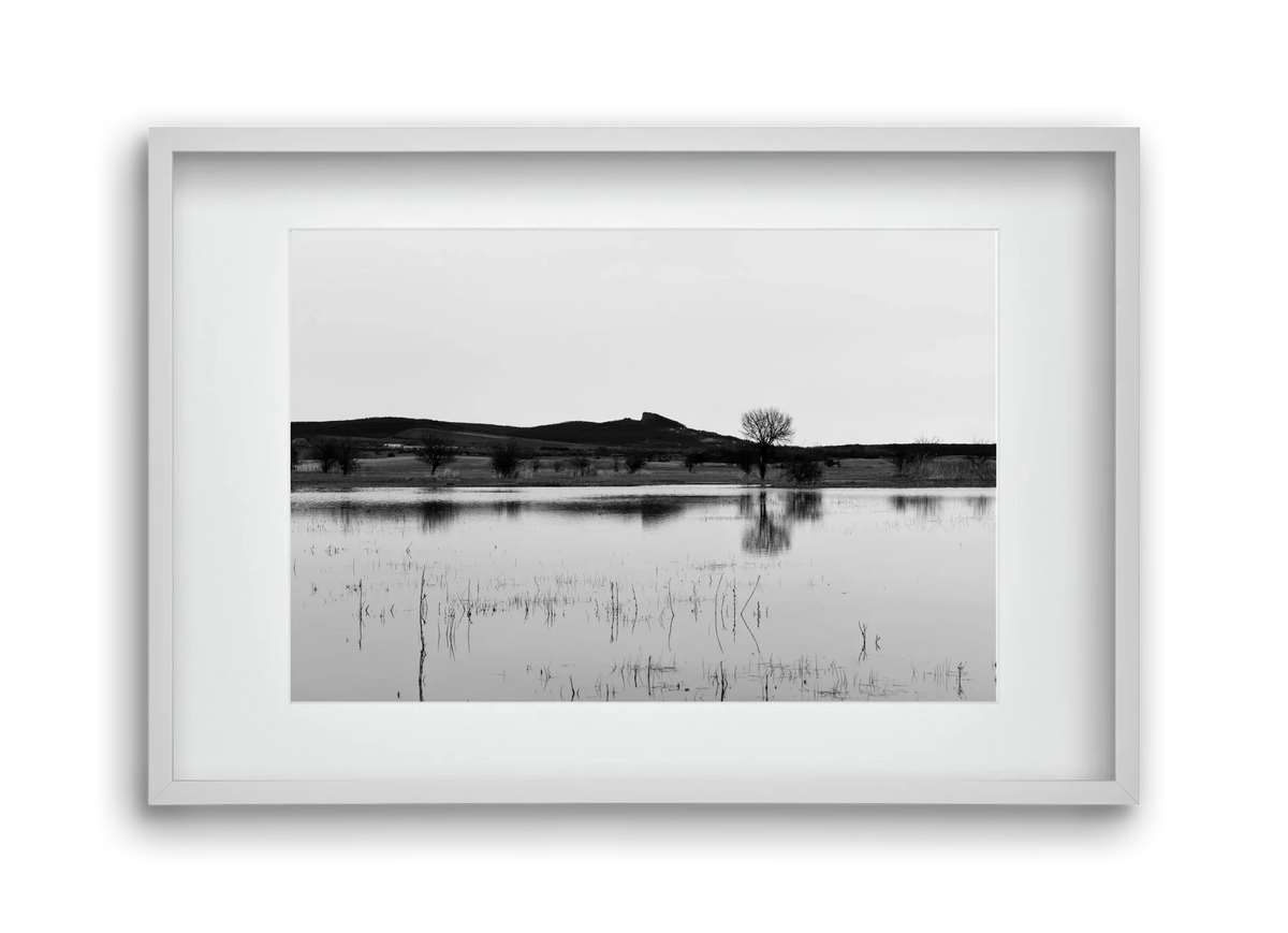 sharp - artbridge
