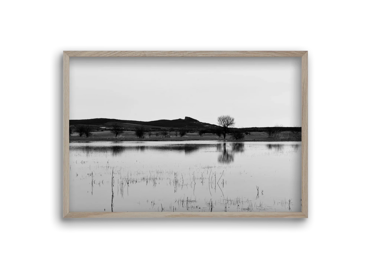 sharp - artbridge