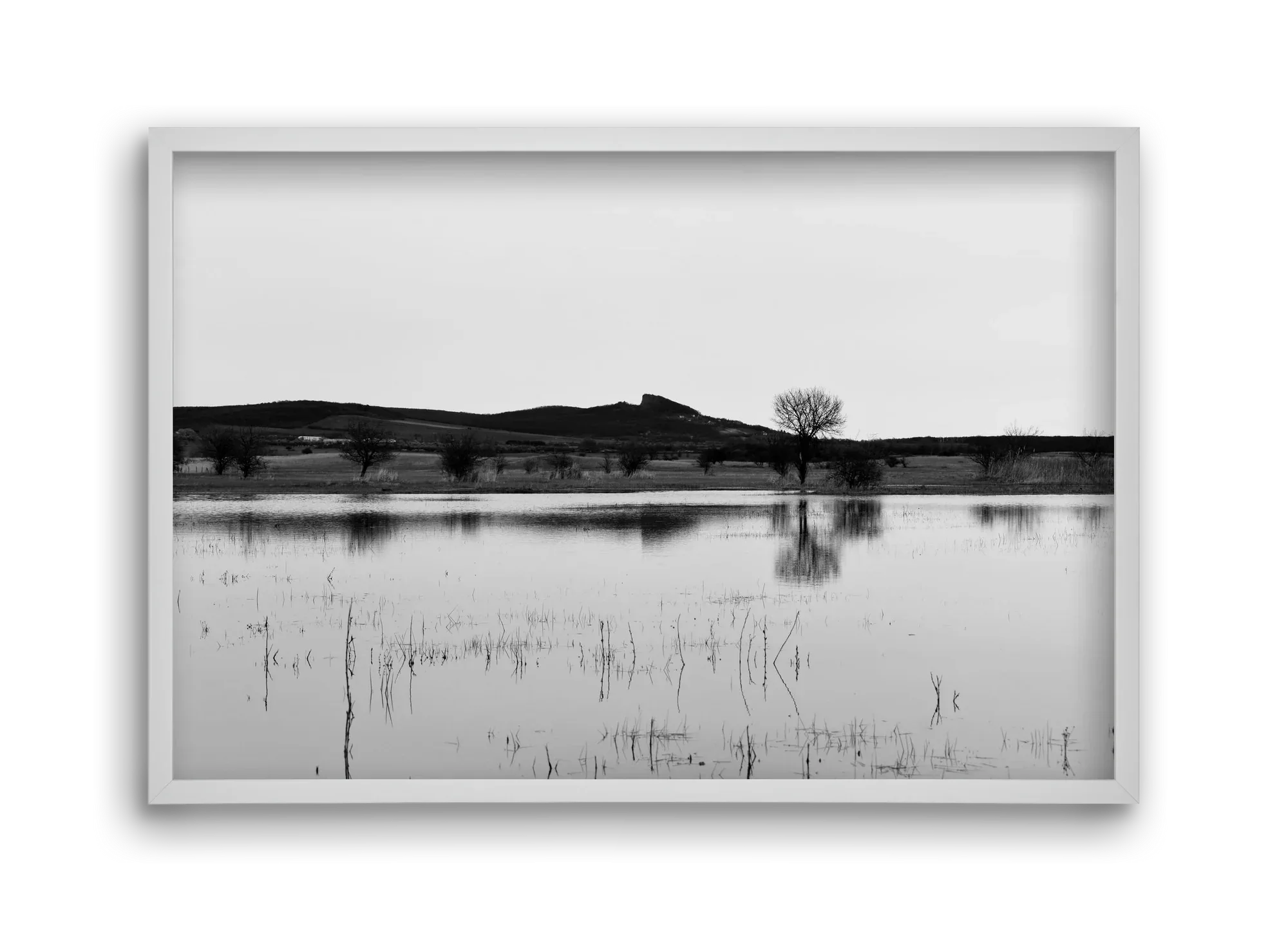 sharp - artbridge