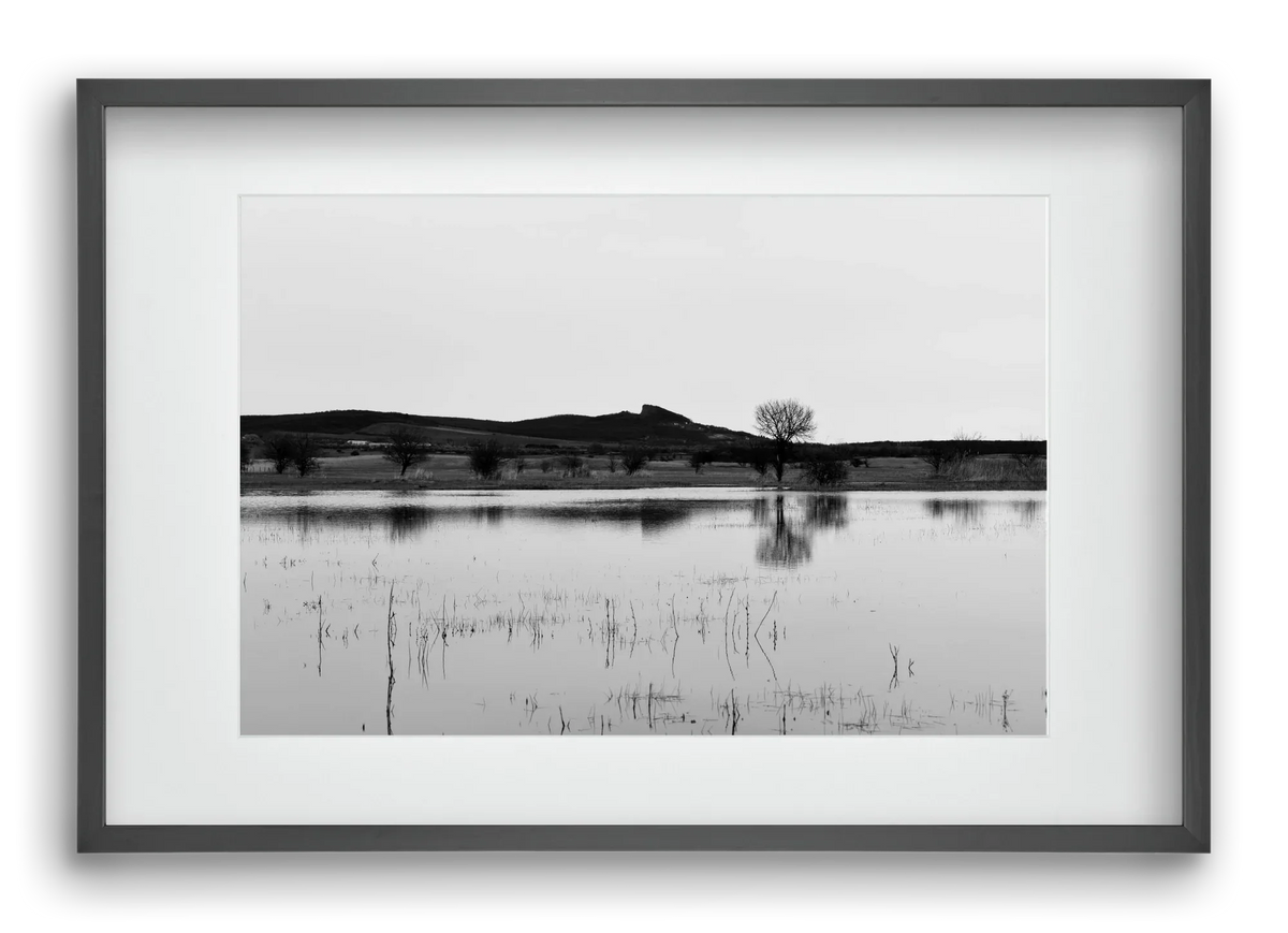 sharp - artbridge
