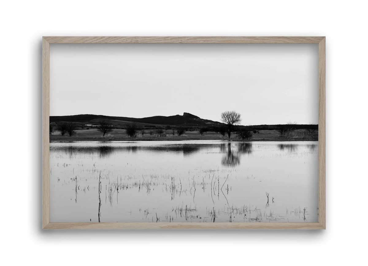 sharp - artbridge