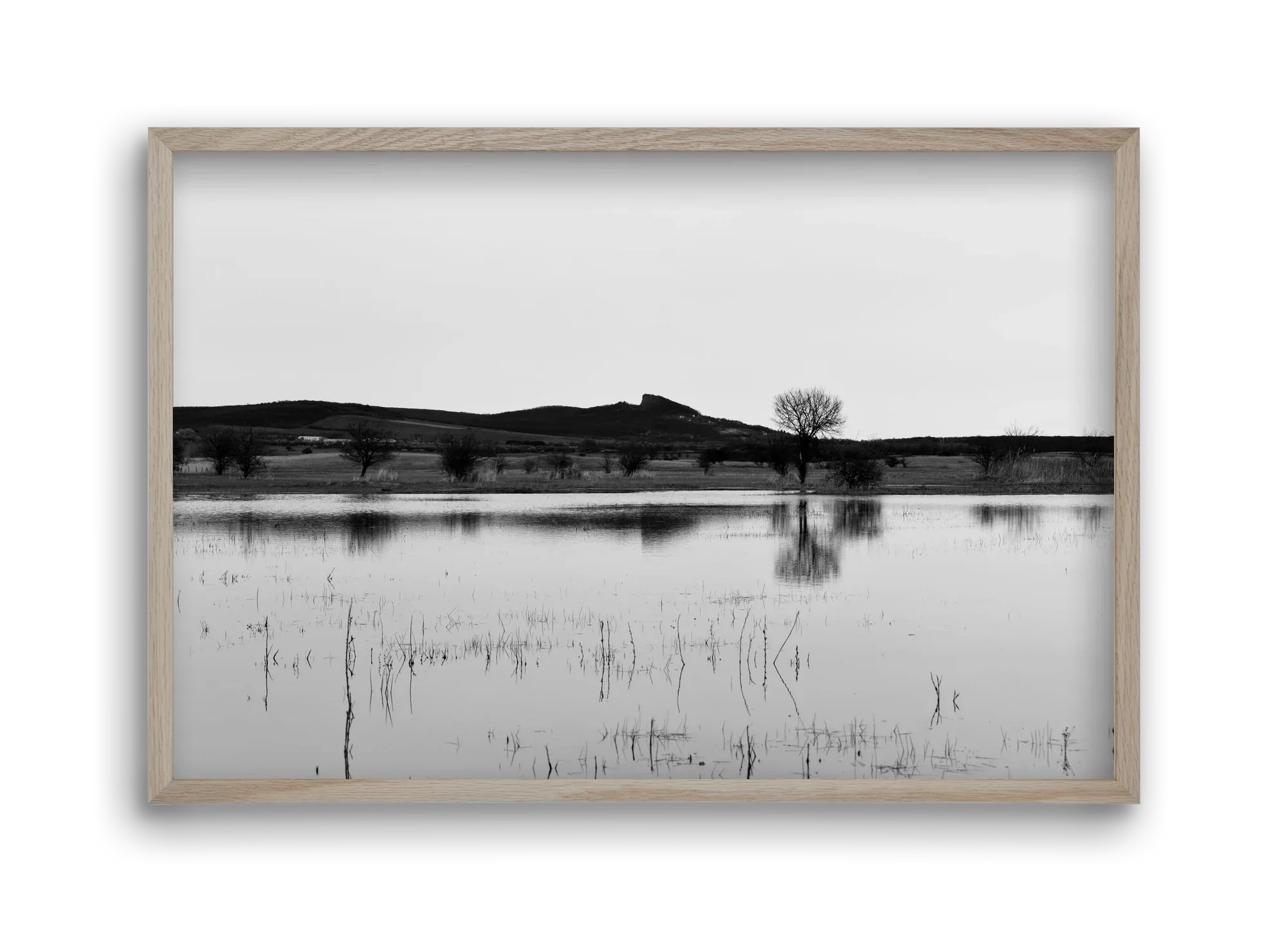 sharp - artbridge