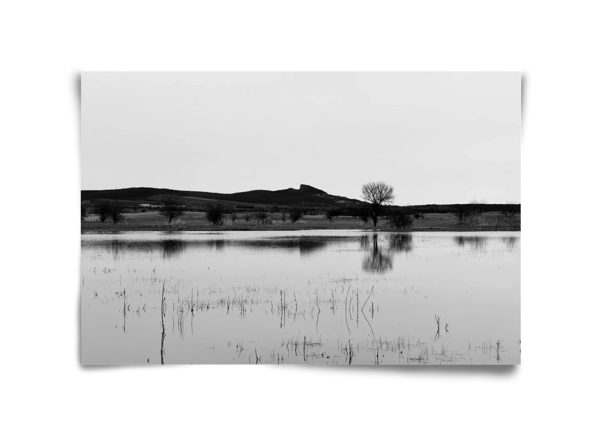 sharp - artbridge