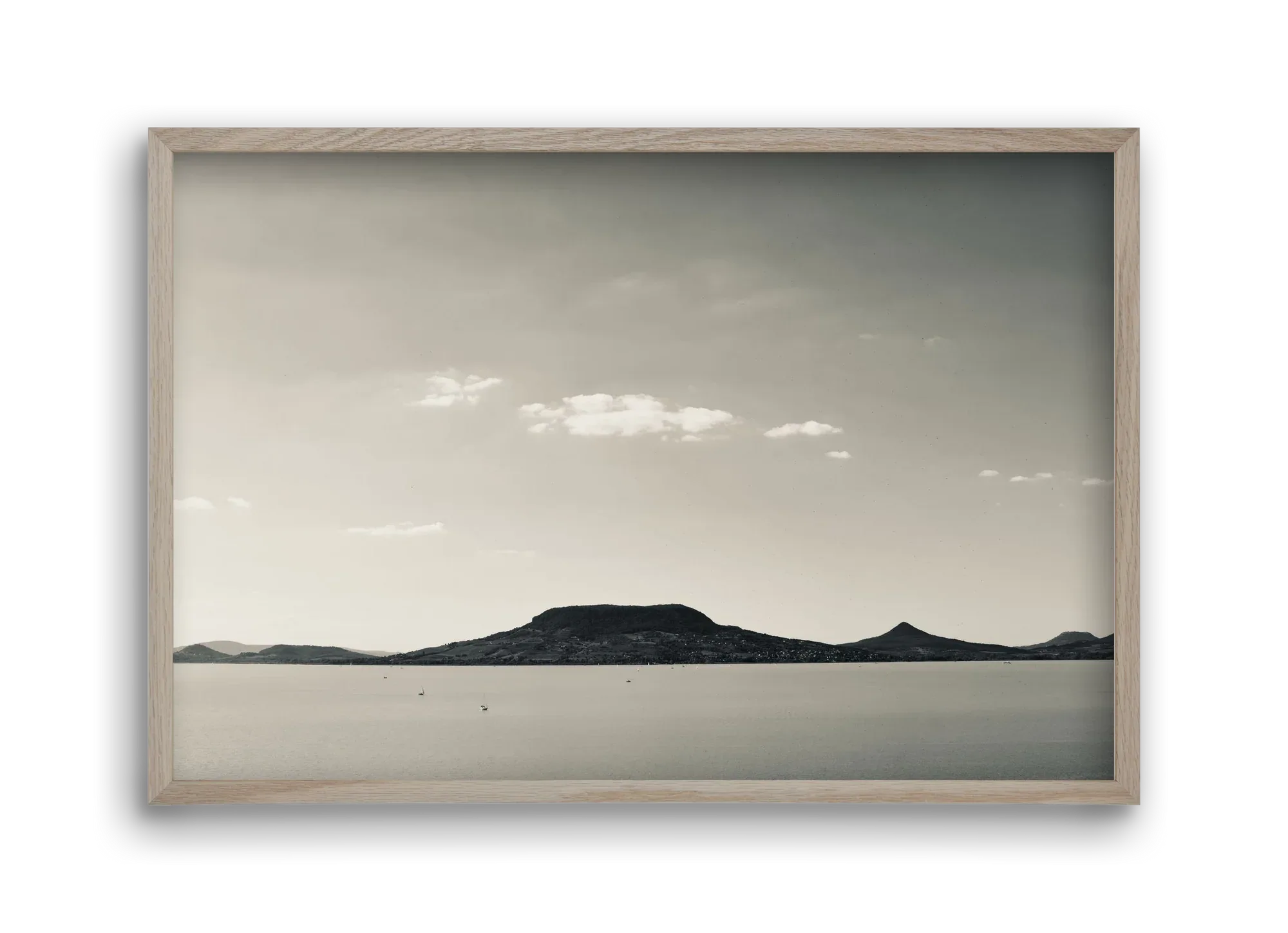 Summer life - artbridge
