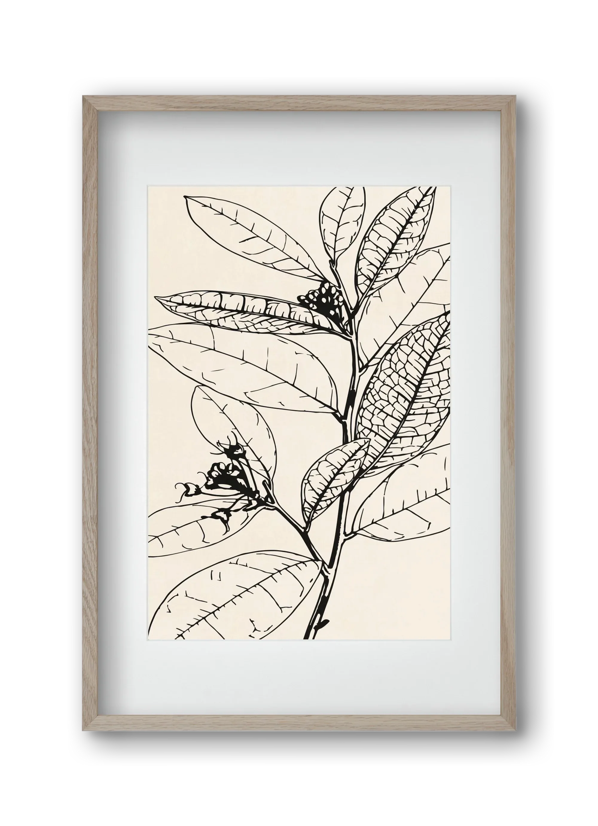 MINIMAL PLANT 02 - artbridge