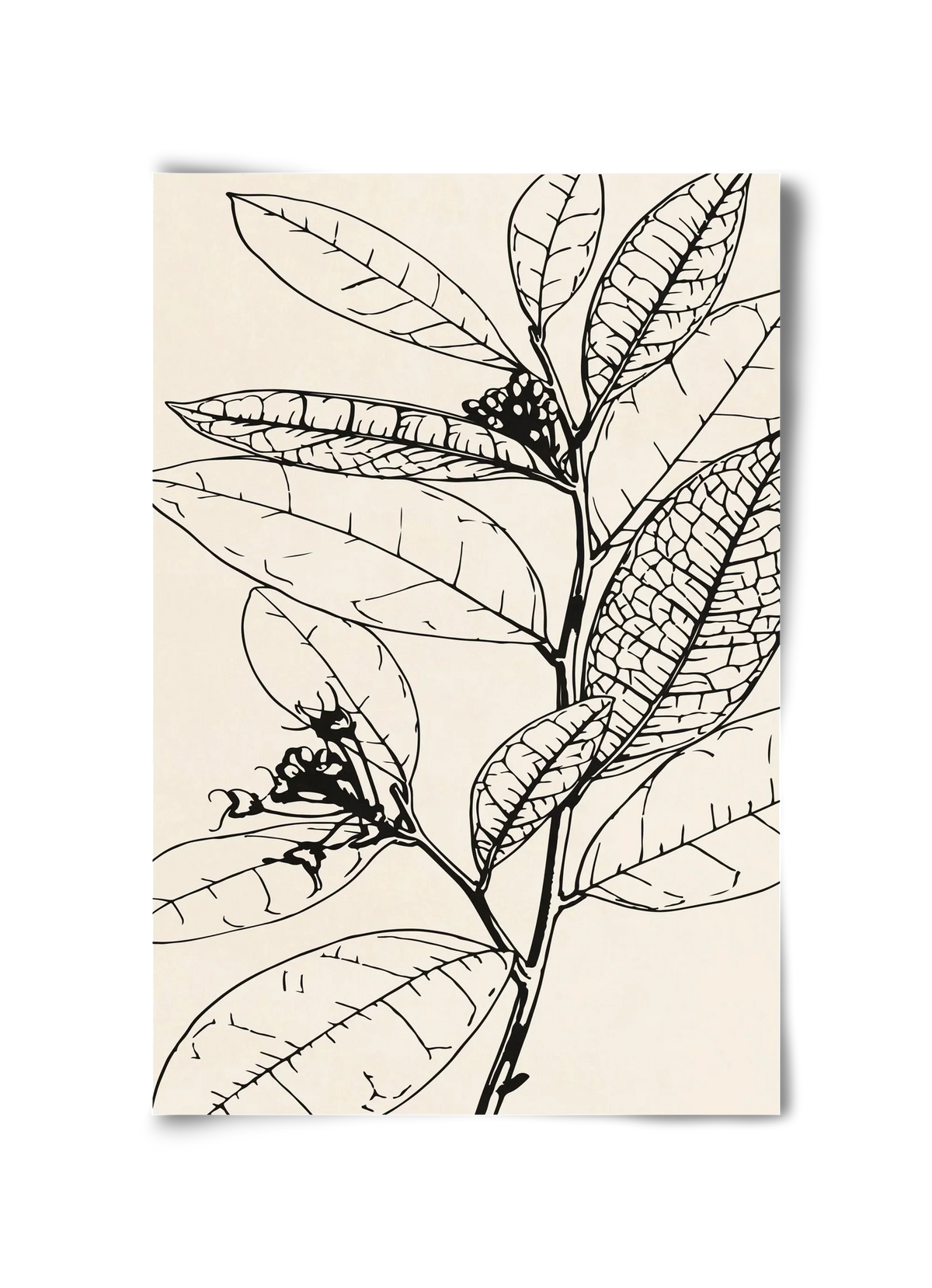 MINIMAL PLANT 02 - artbridge