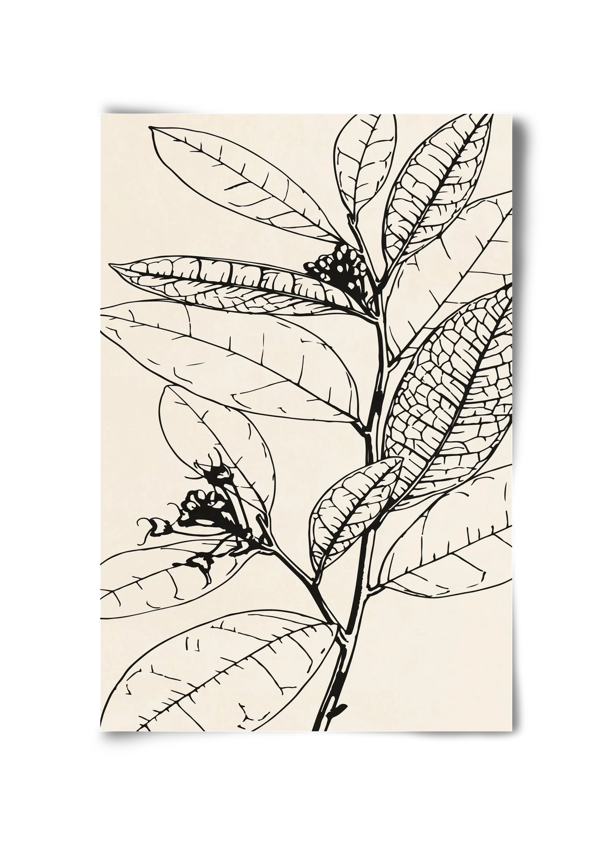MINIMAL PLANT 02 - artbridge