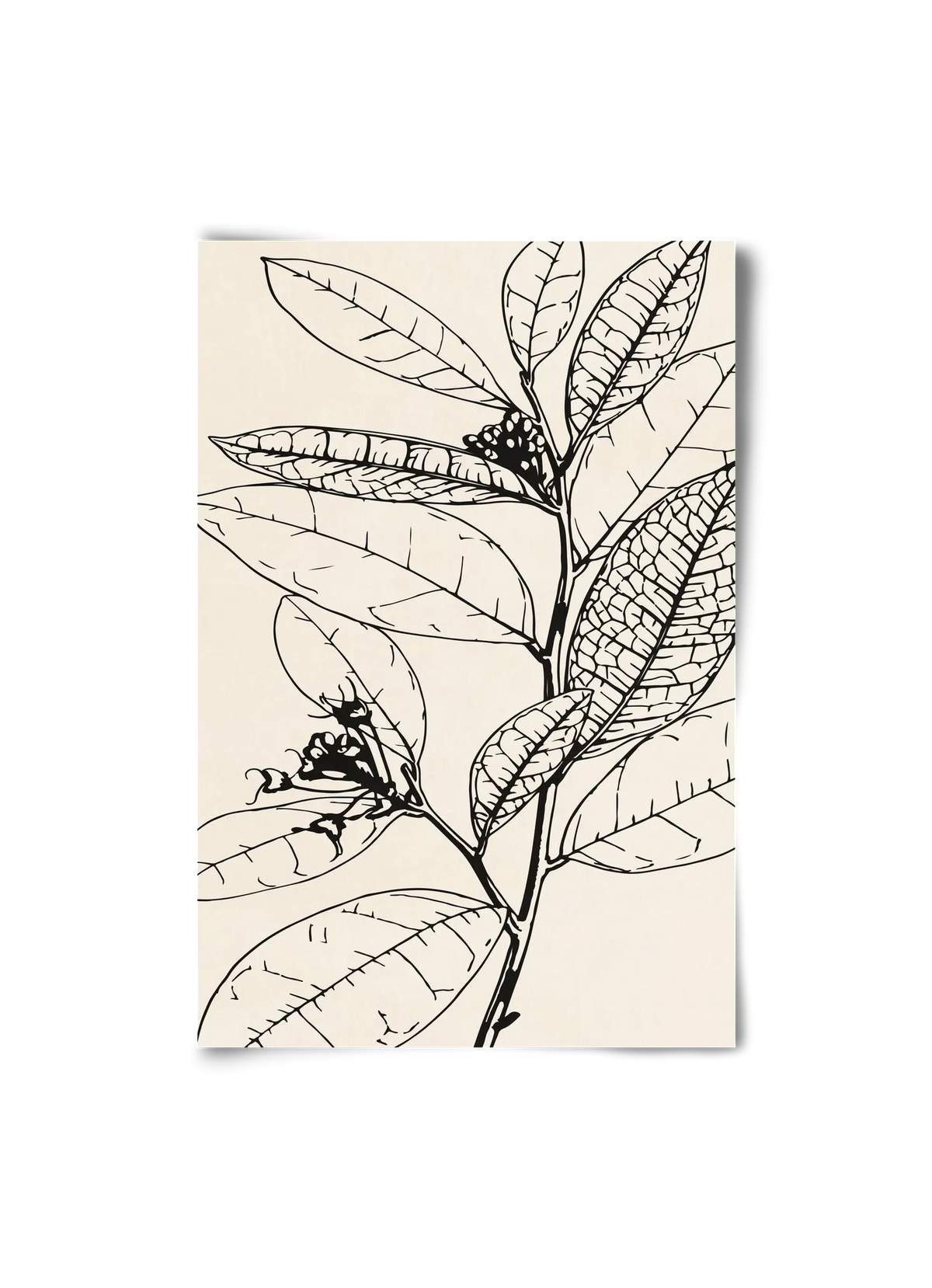 MINIMAL PLANT 02 - artbridge