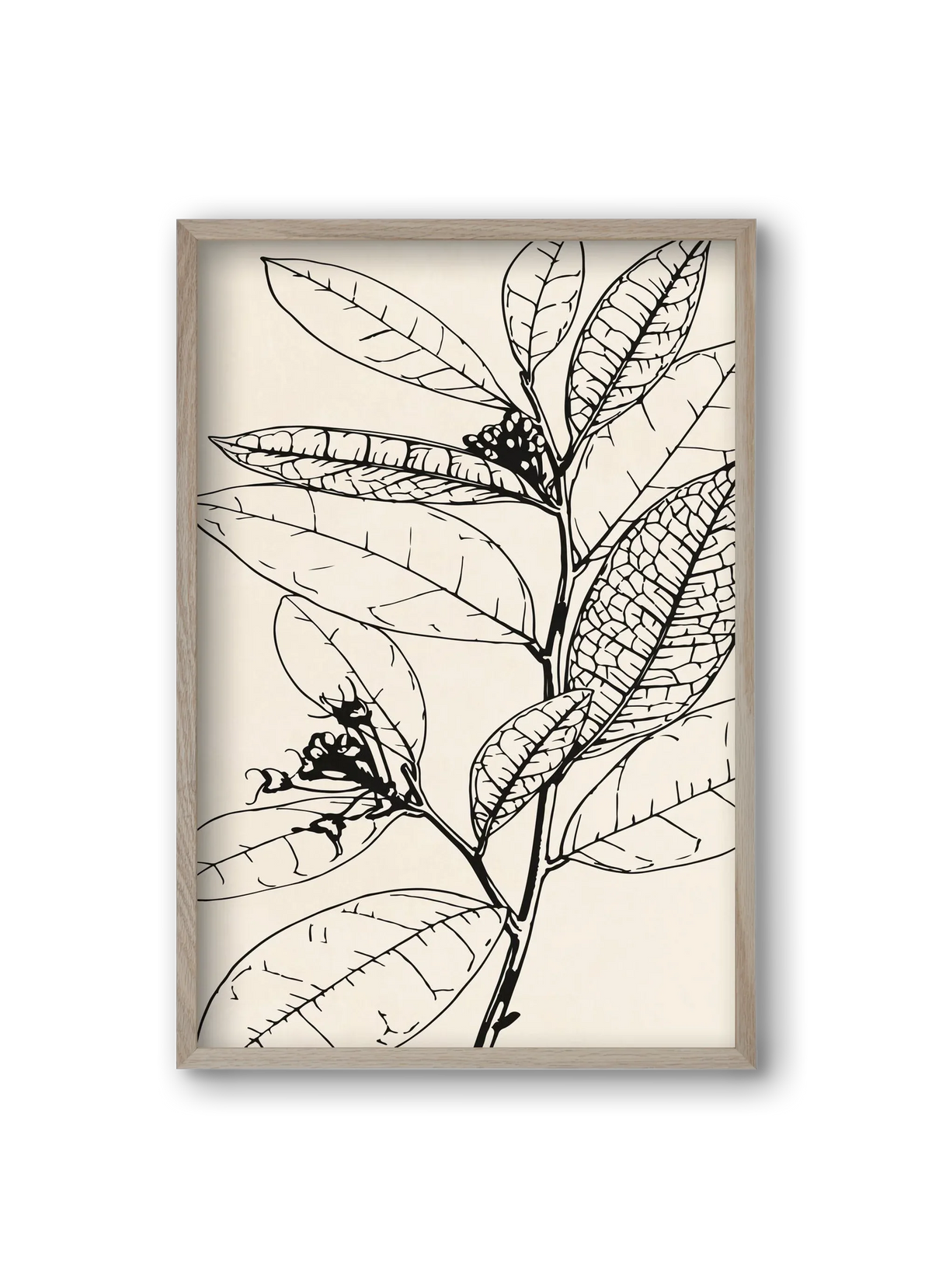MINIMAL PLANT 02 - artbridge