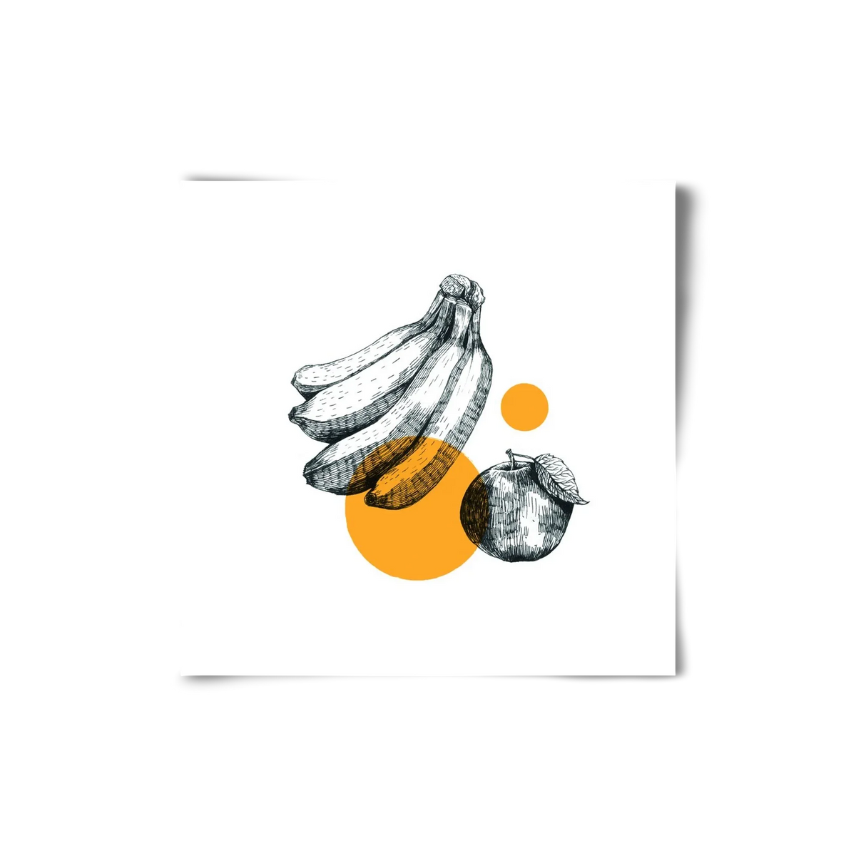 Fruits - artbridge