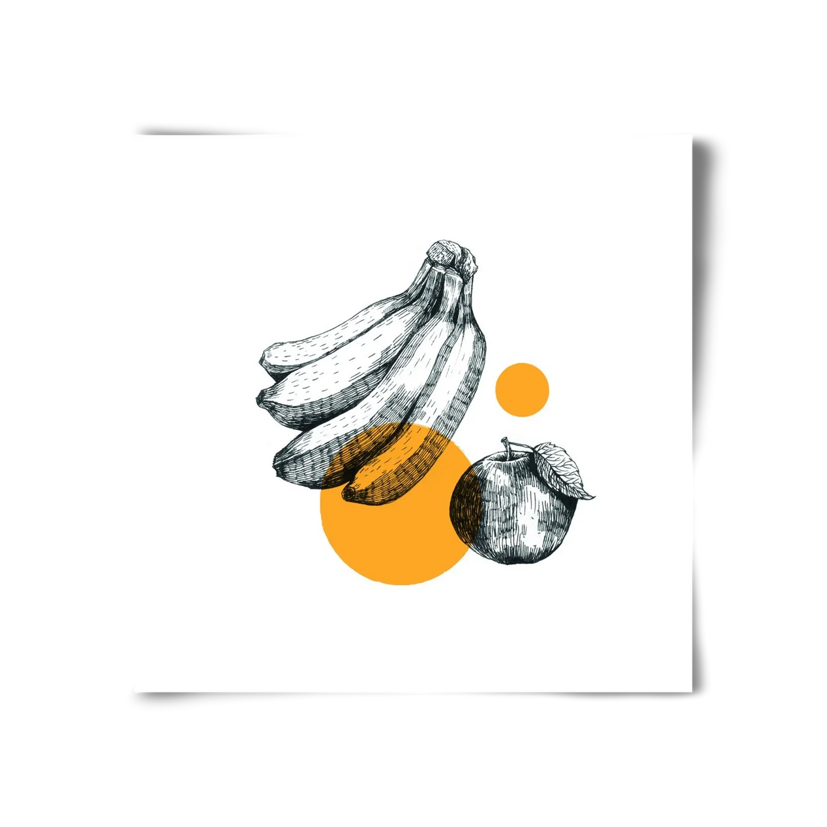 Fruits - artbridge