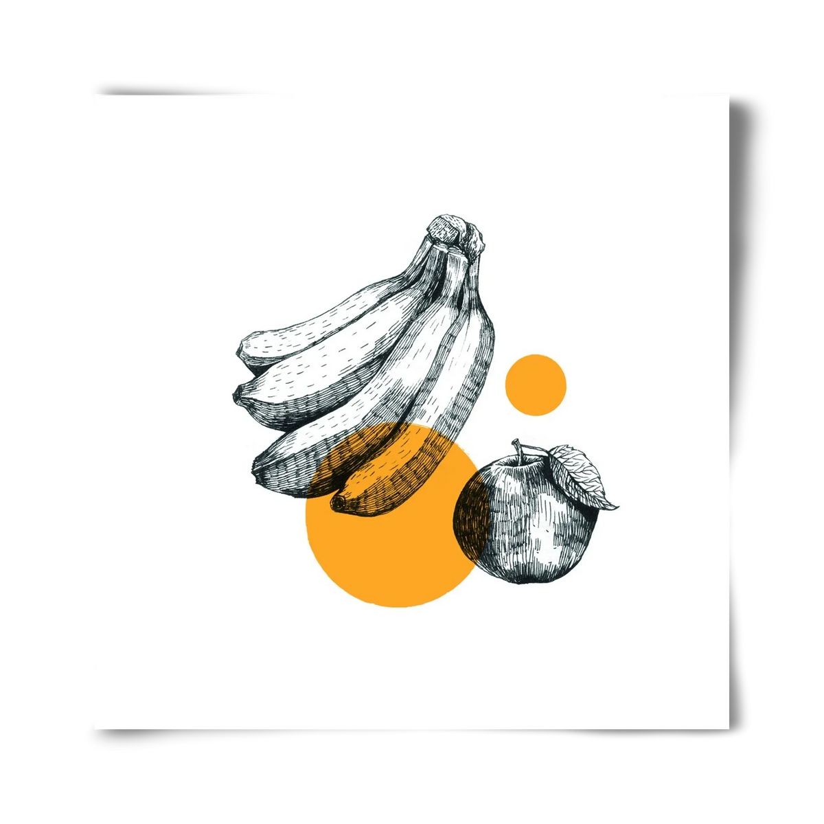 Fruits - artbridge
