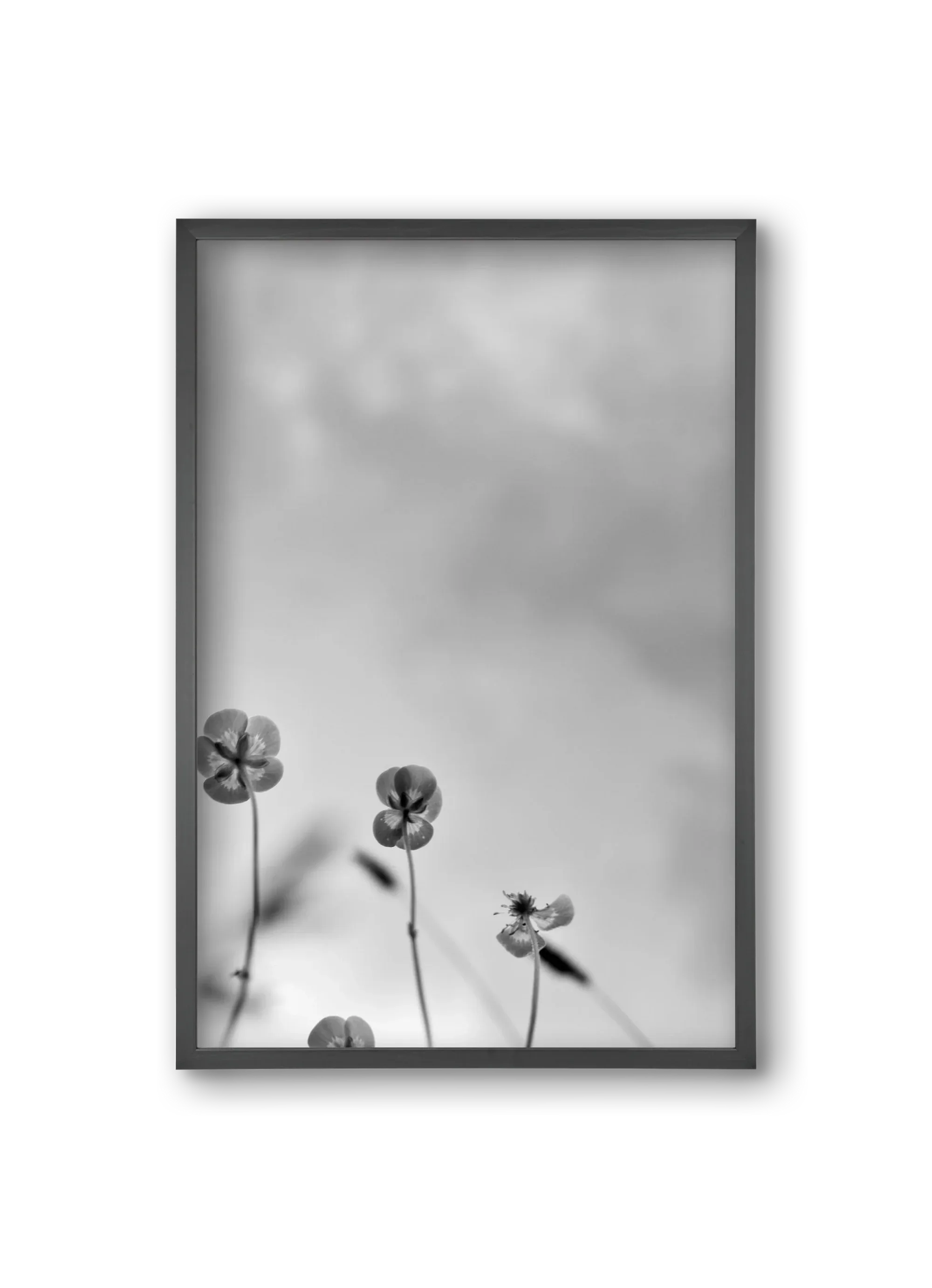 Buttercups - artbridge