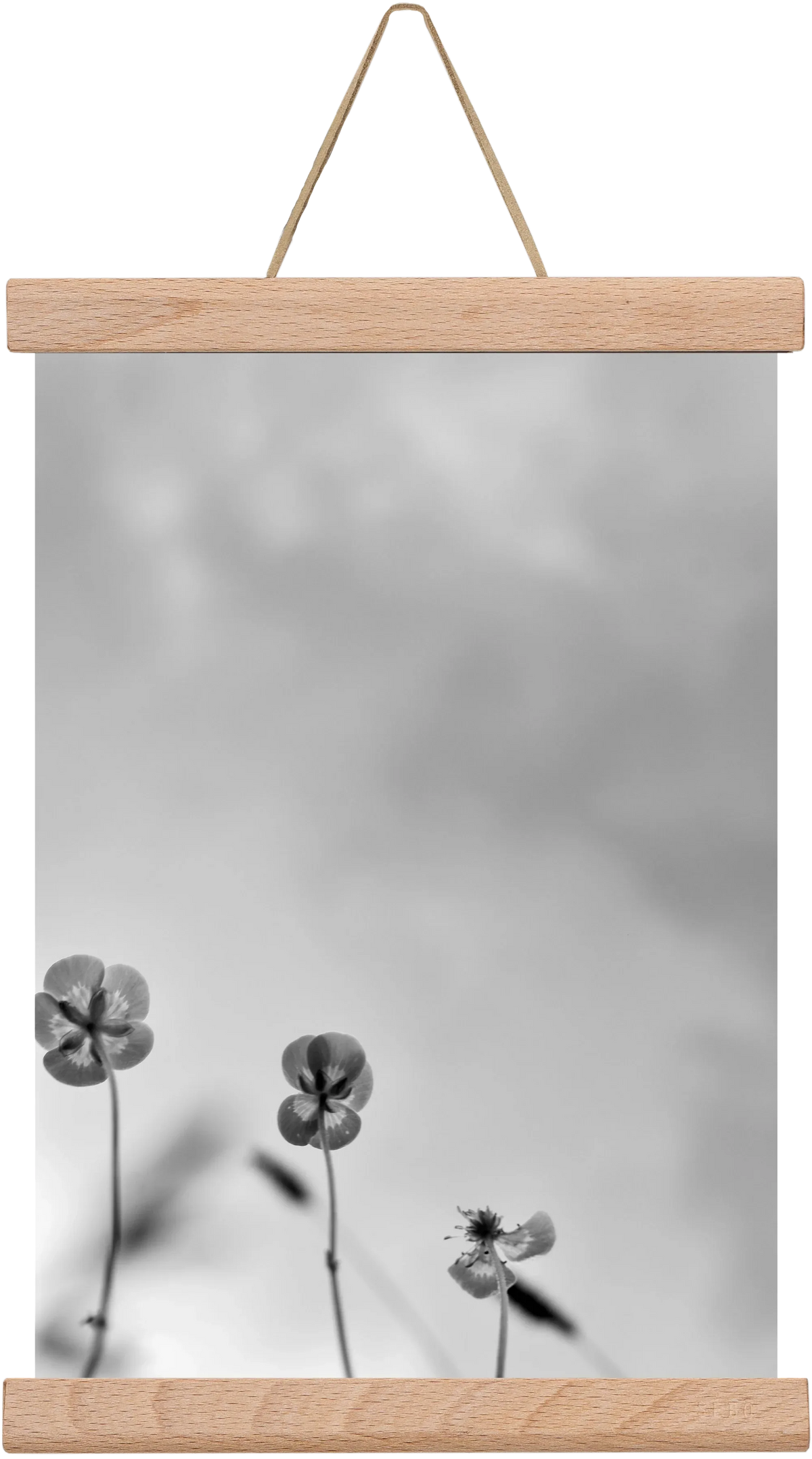 Buttercups - artbridge