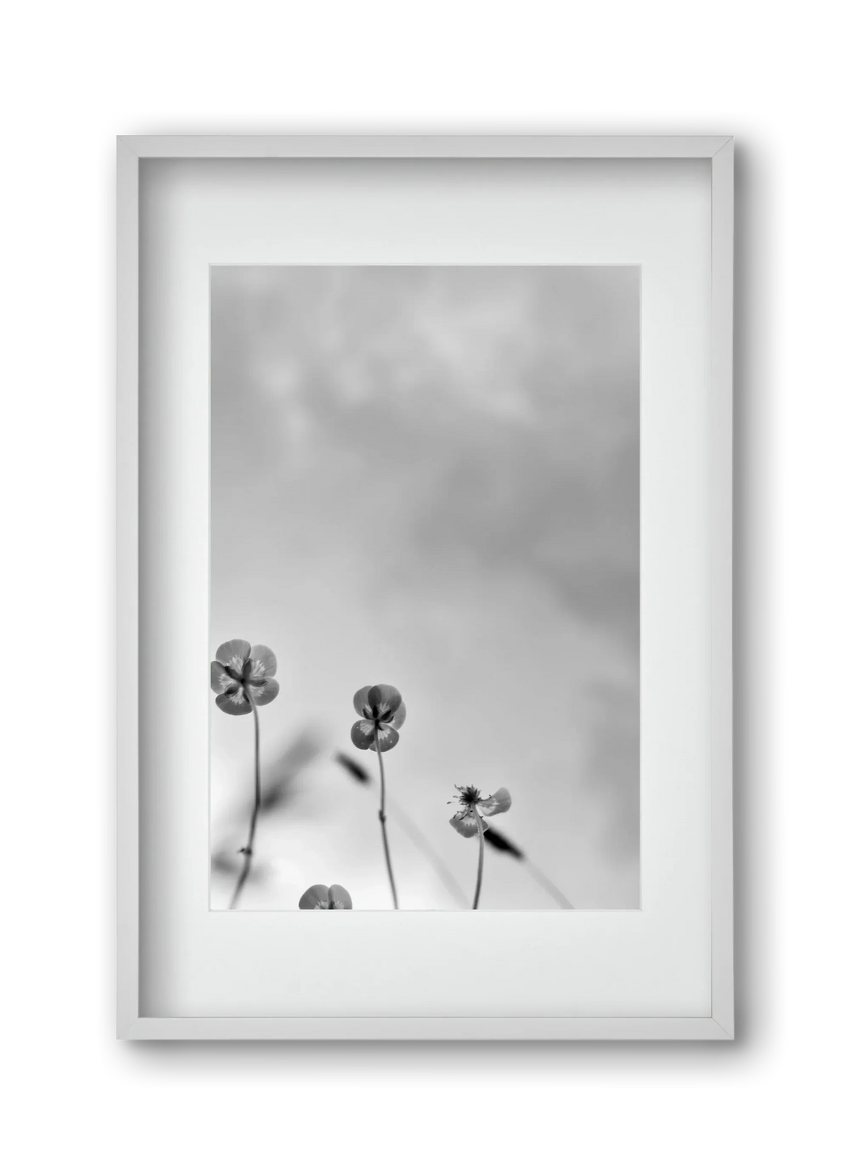 Buttercups - artbridge