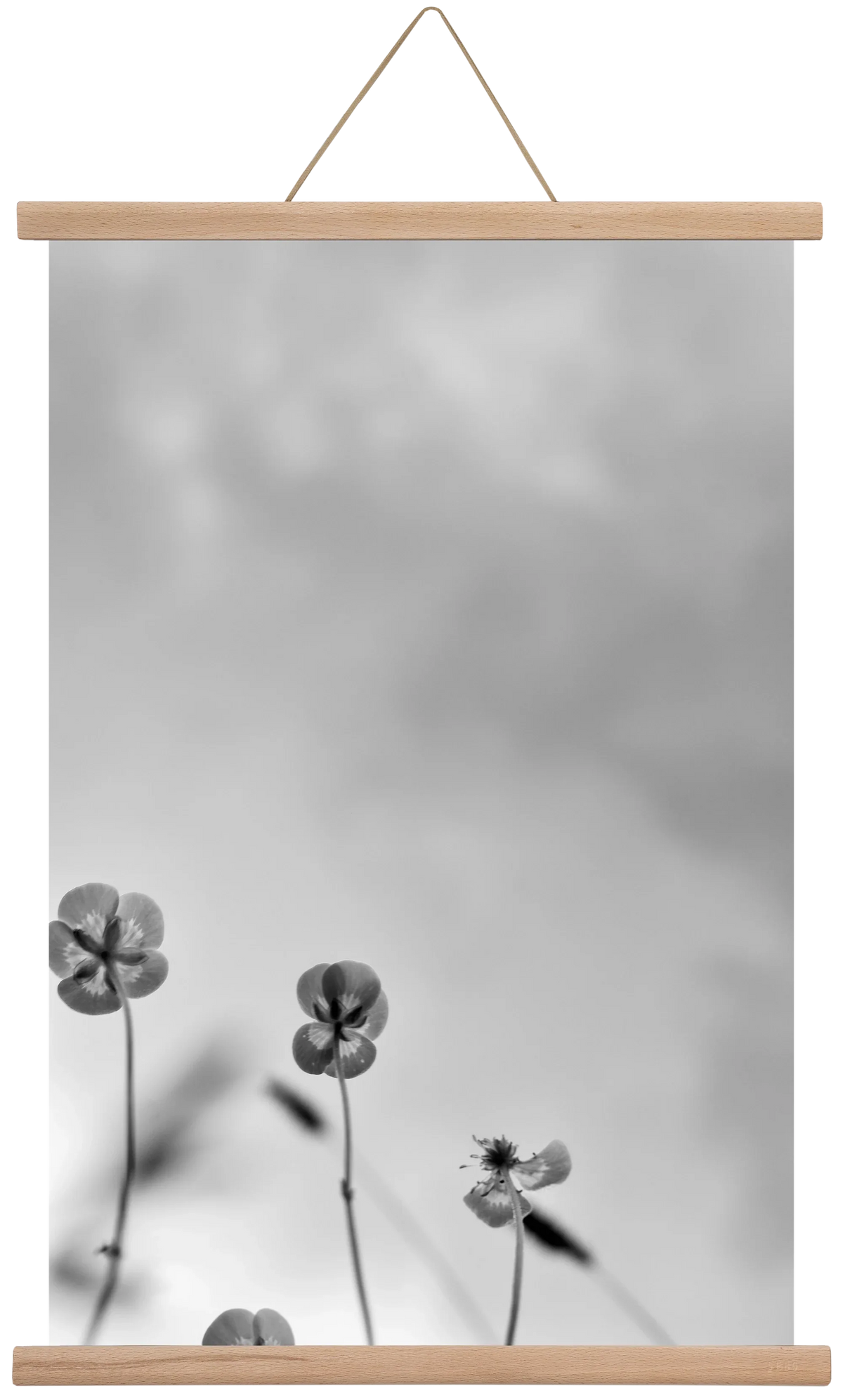 Buttercups - artbridge