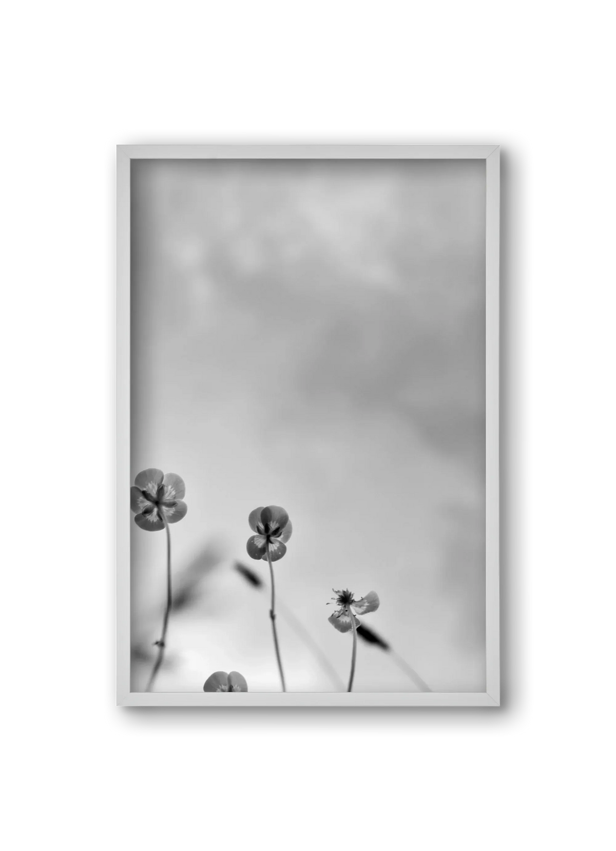 Buttercups - artbridge